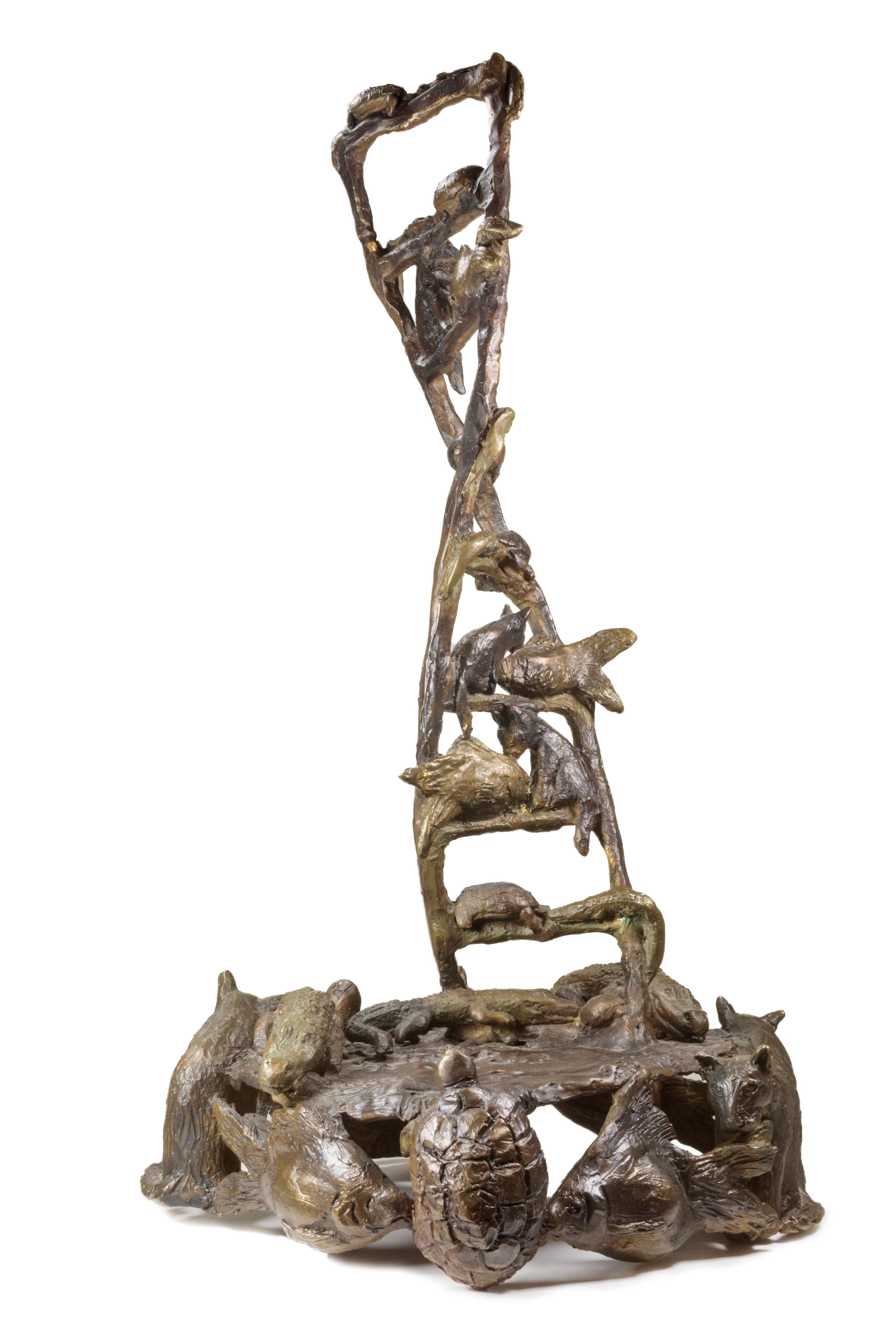 Goldfish, Cat, Turtle, Alligator (DNA) For Sale 4