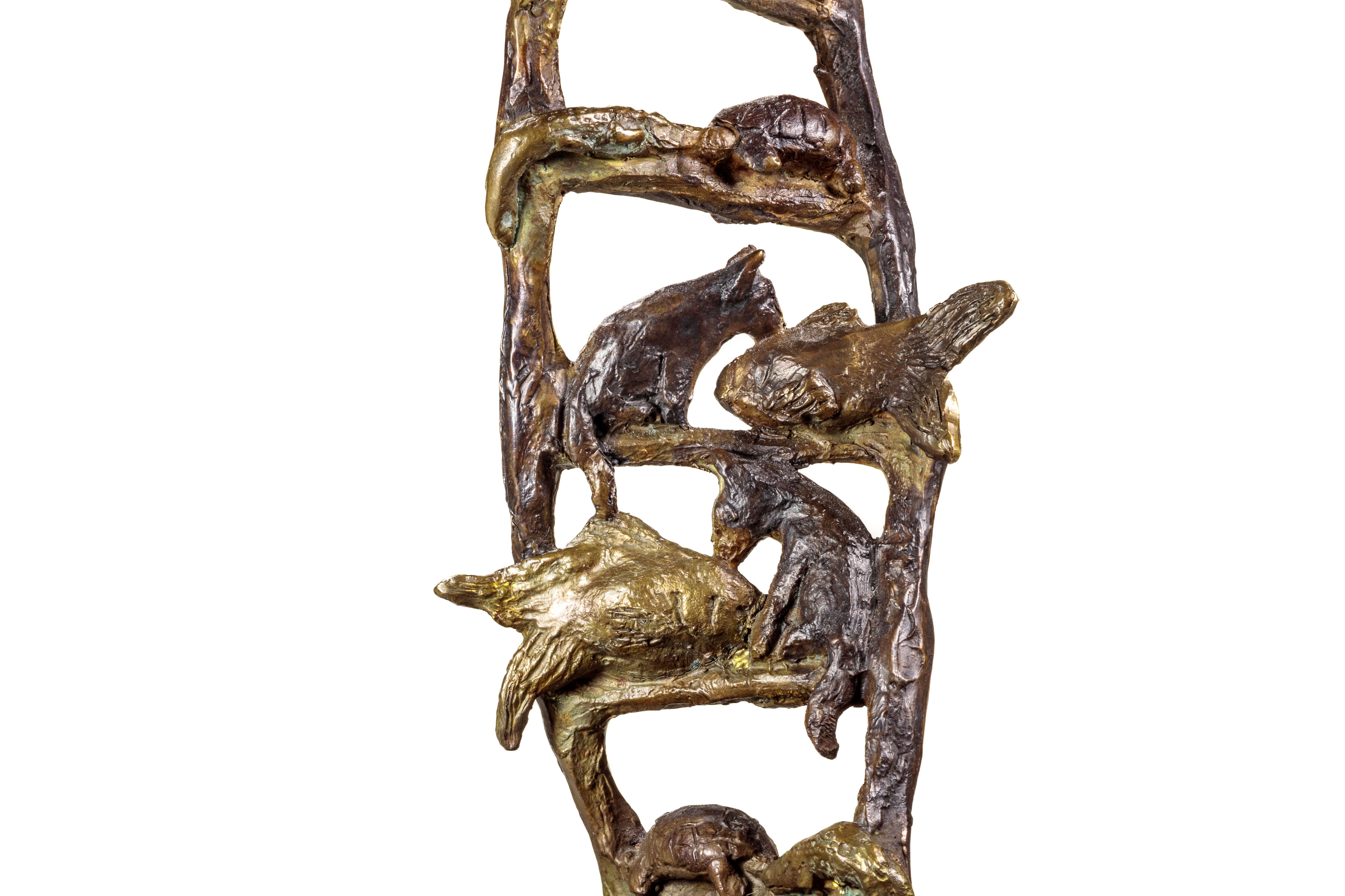 Goldfish, Cat, Turtle, Alligator (DNA) For Sale 7