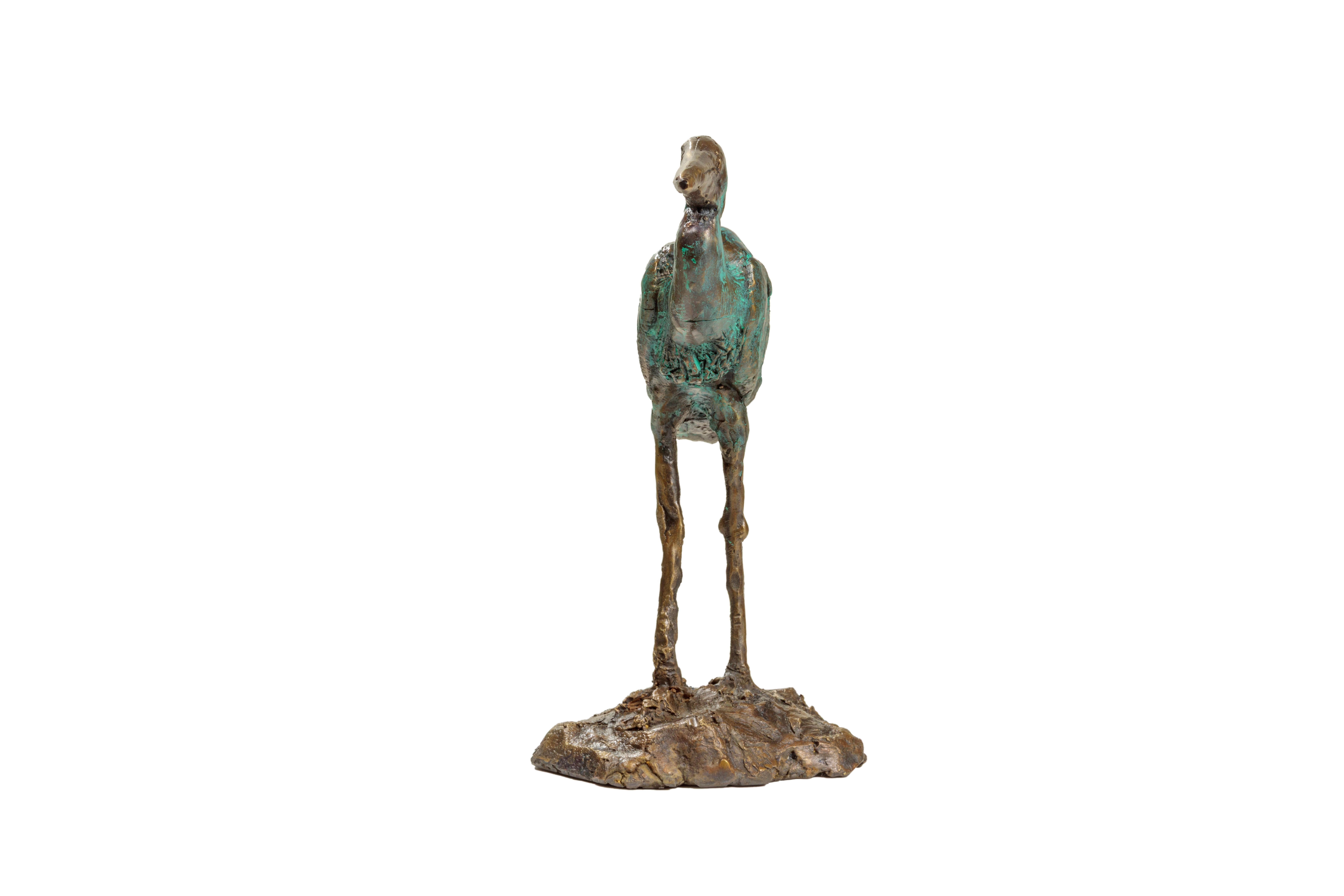 Great Blue Heron For Sale 4