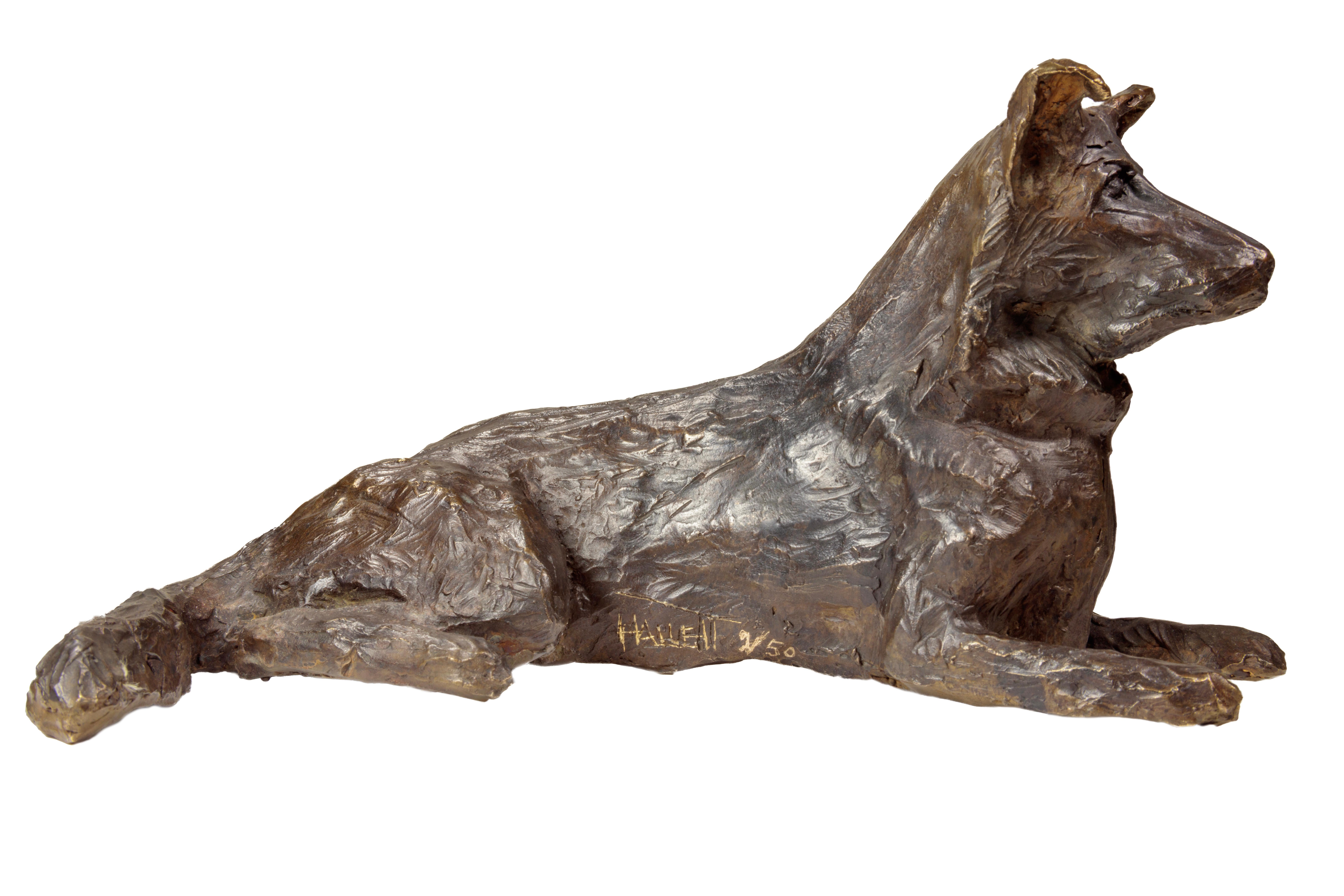 Ivy (German Shepherd) For Sale 2