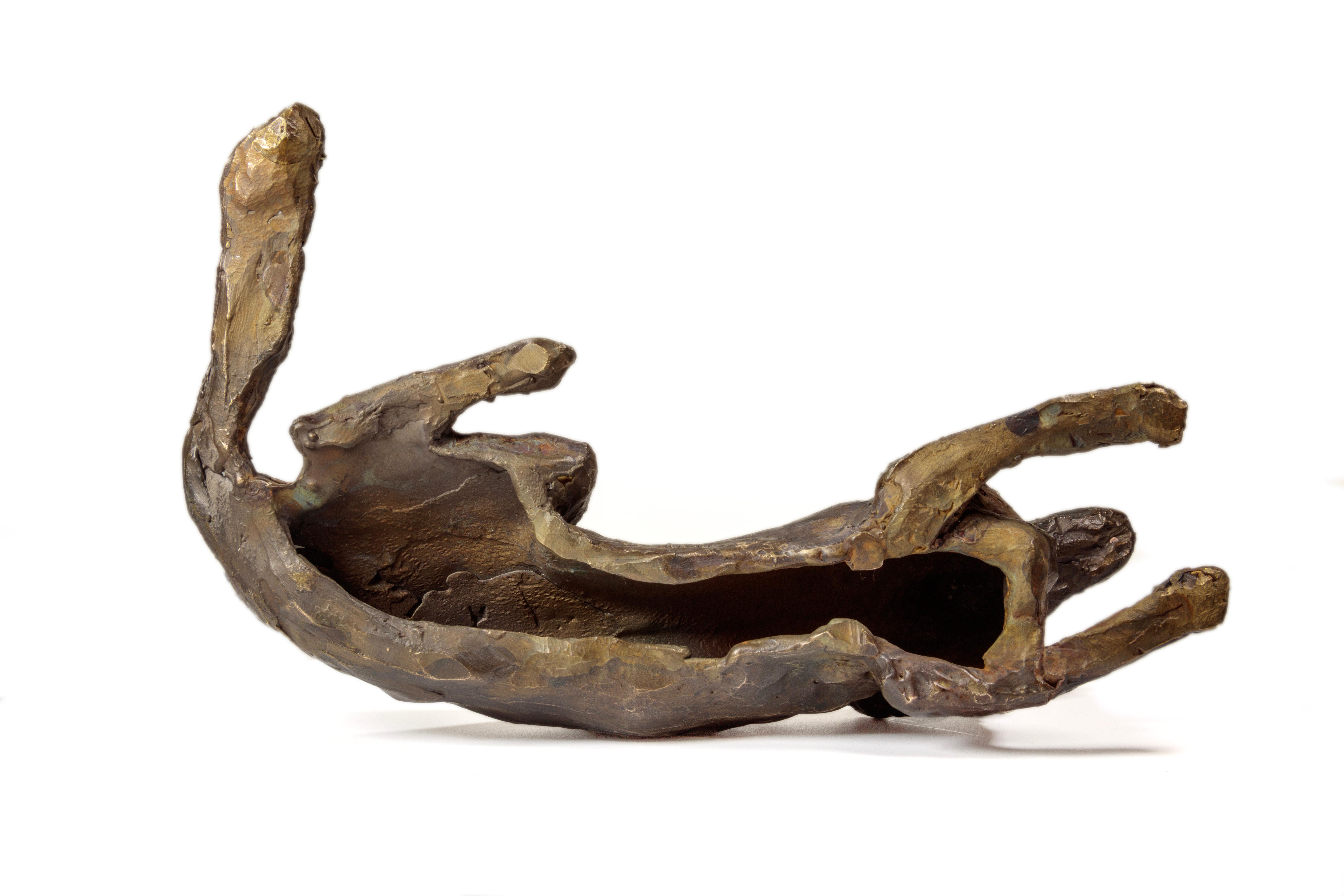 Ivy (German Shepherd) For Sale 4