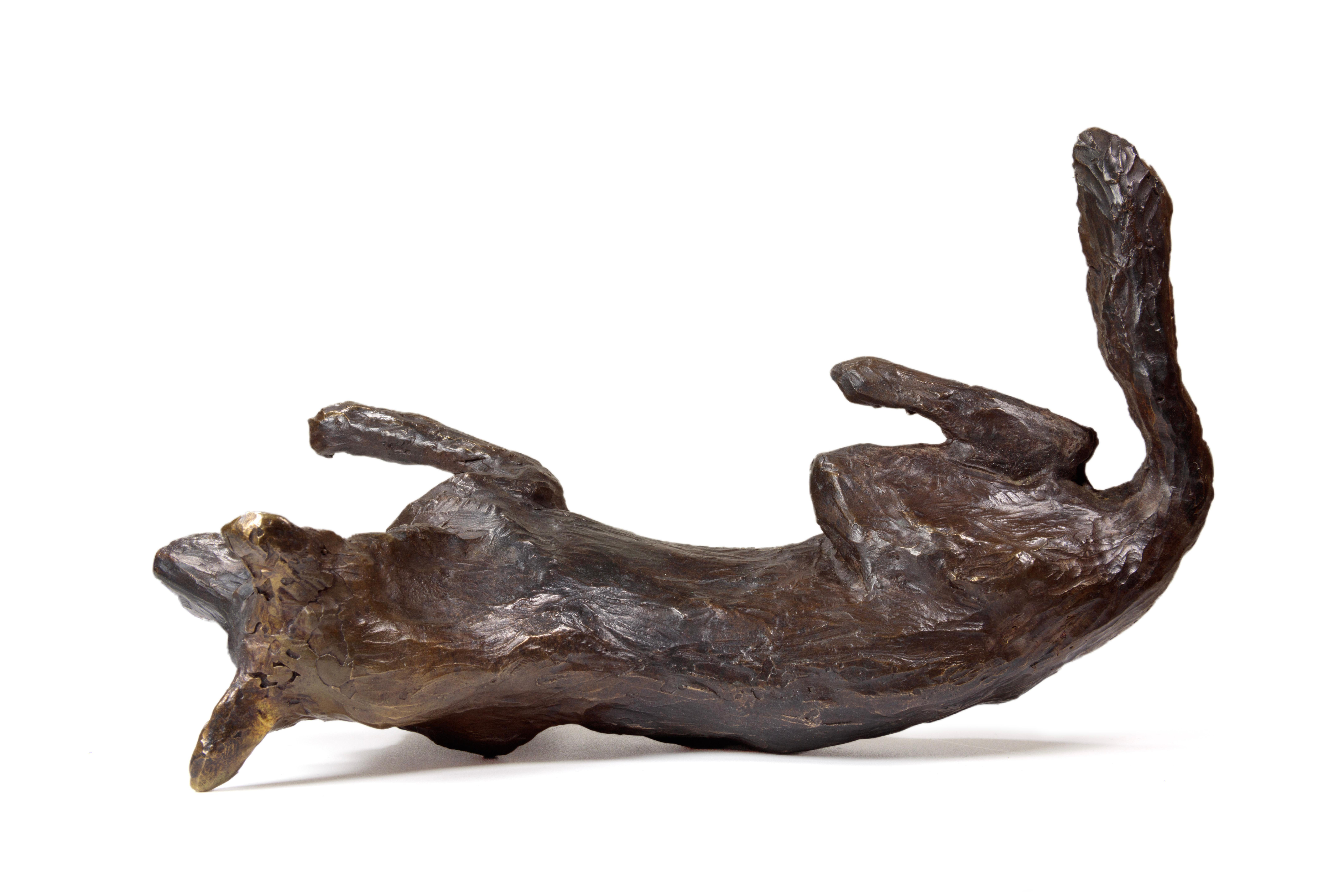 Ivy (German Shepherd) For Sale 5