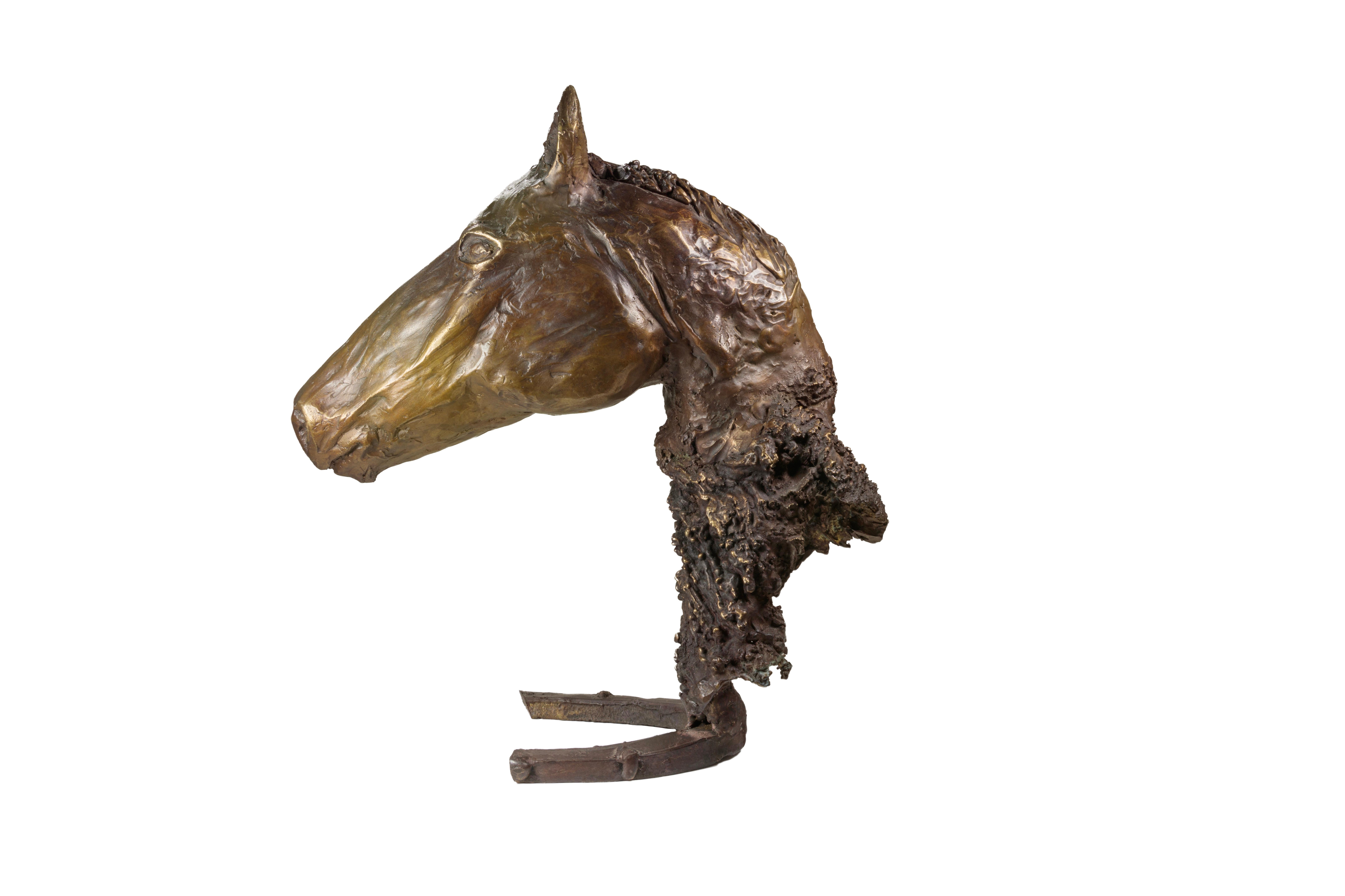 Signature location: Side of horseshoe

