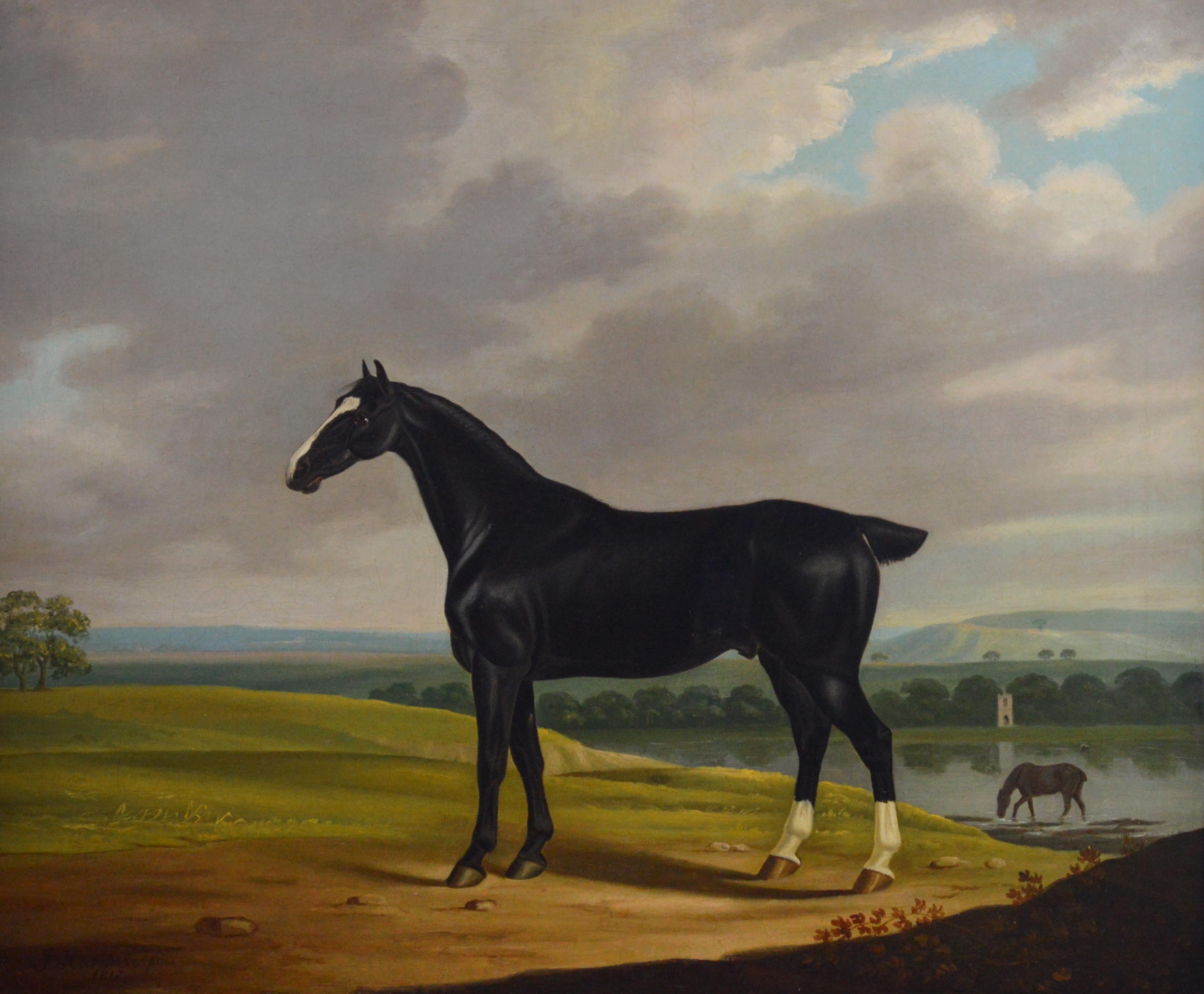 Early 19th Century sporting oil painting of a black horse - Painting by John Hardman