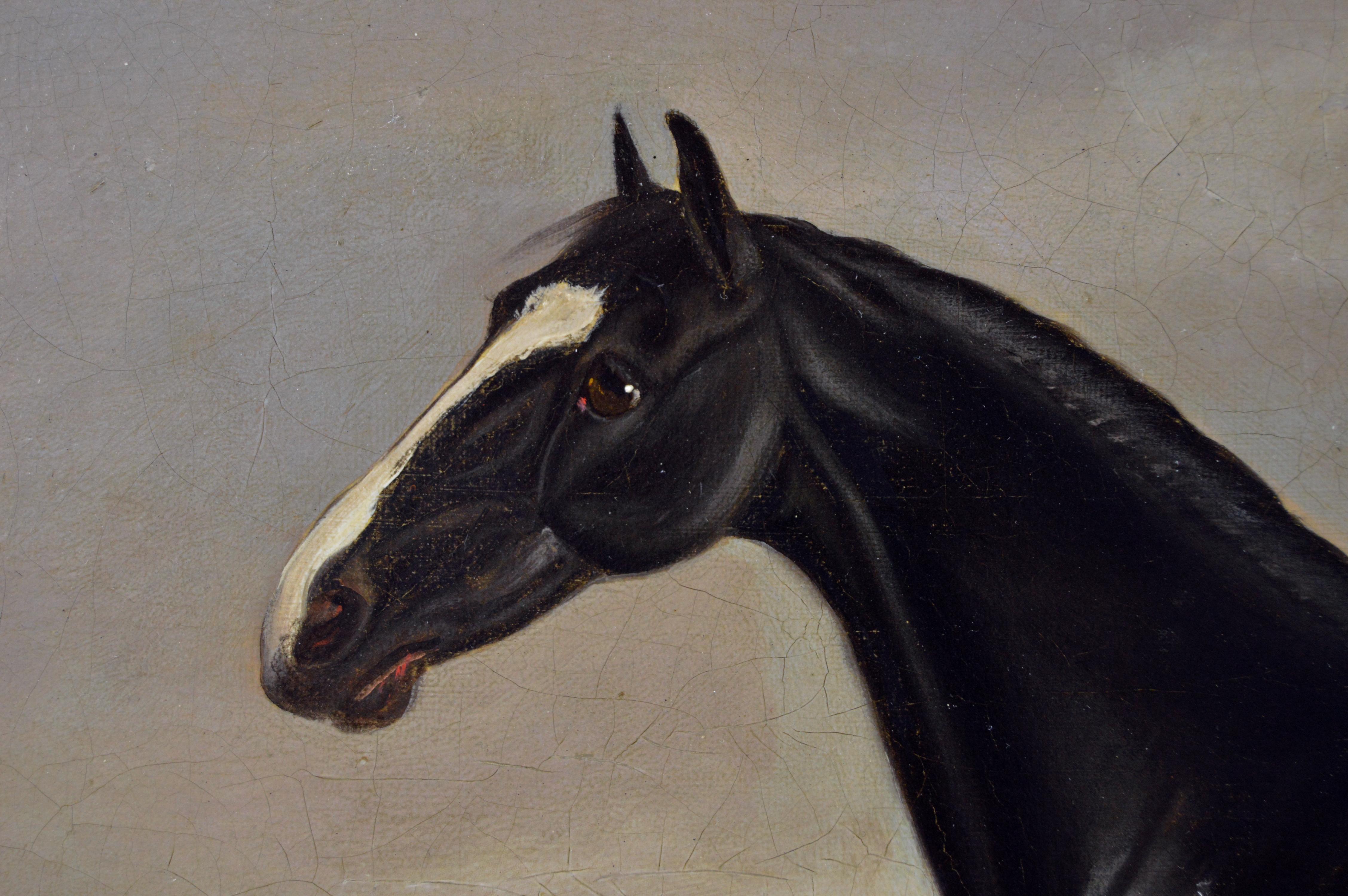 black horse paint