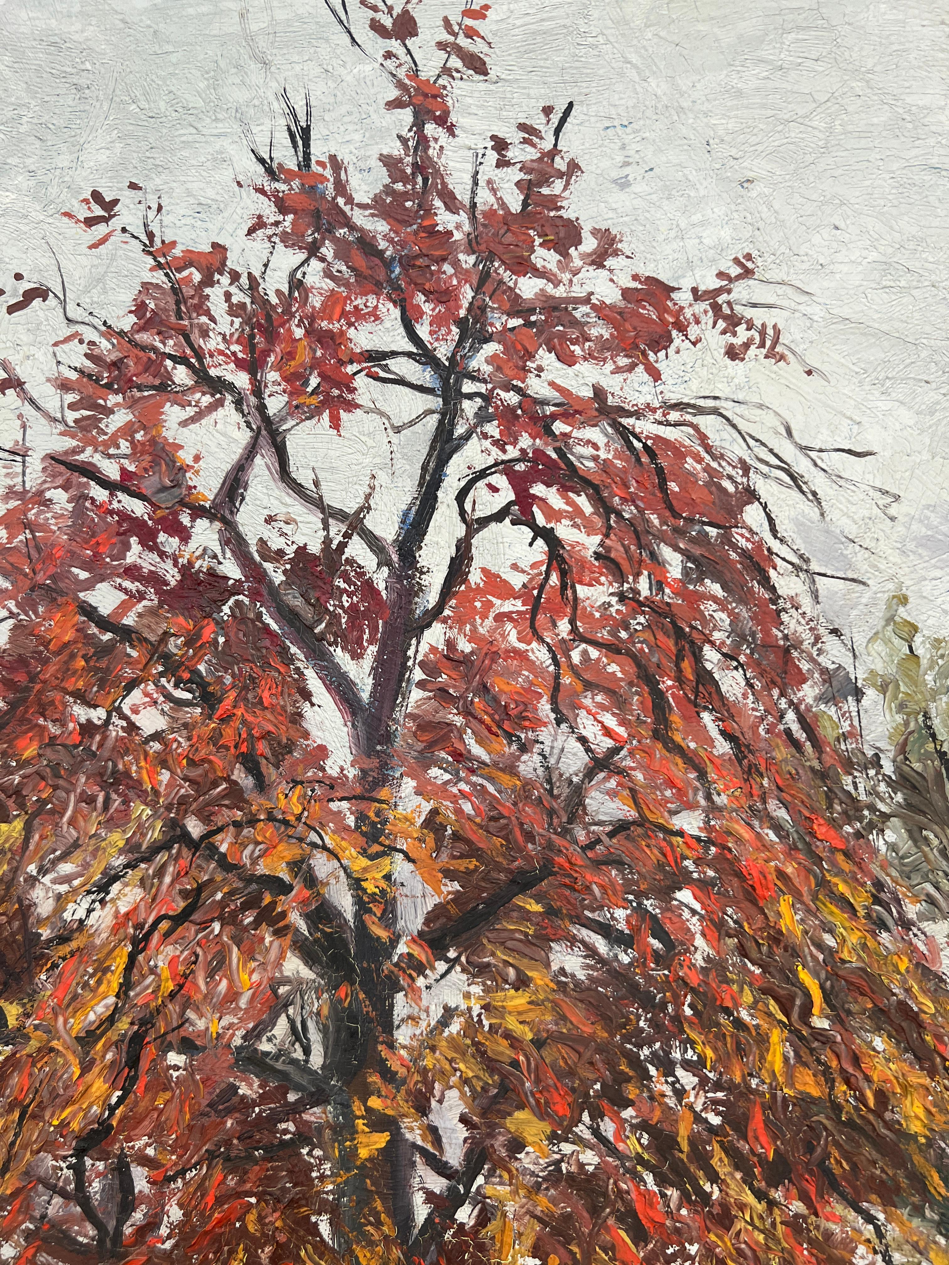 Huerto en otoño en Hermance, Ginebra en venta 1