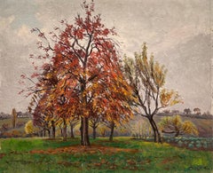 Orchard in autumn in Hermance, Geneva