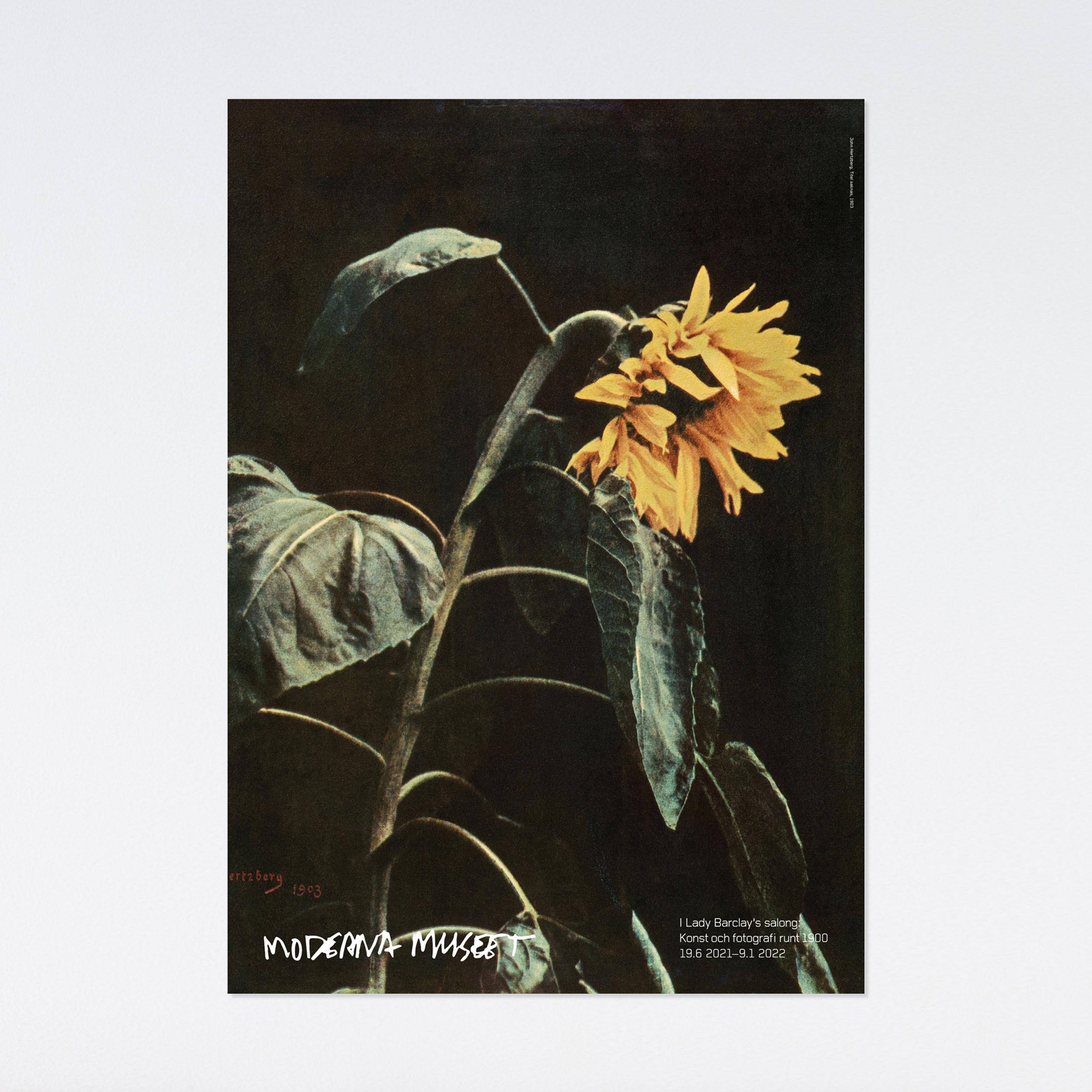 John Hertzberg, Titel saknas (No Title), Sun Flower Museum Exhibition Poster For Sale 1