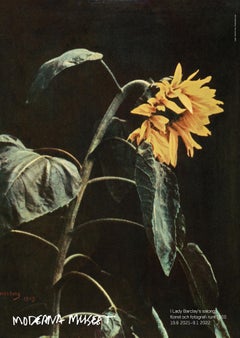 John Hertzberg, Titel saknas (No Title), Sun Flower Museum Exhibition Poster