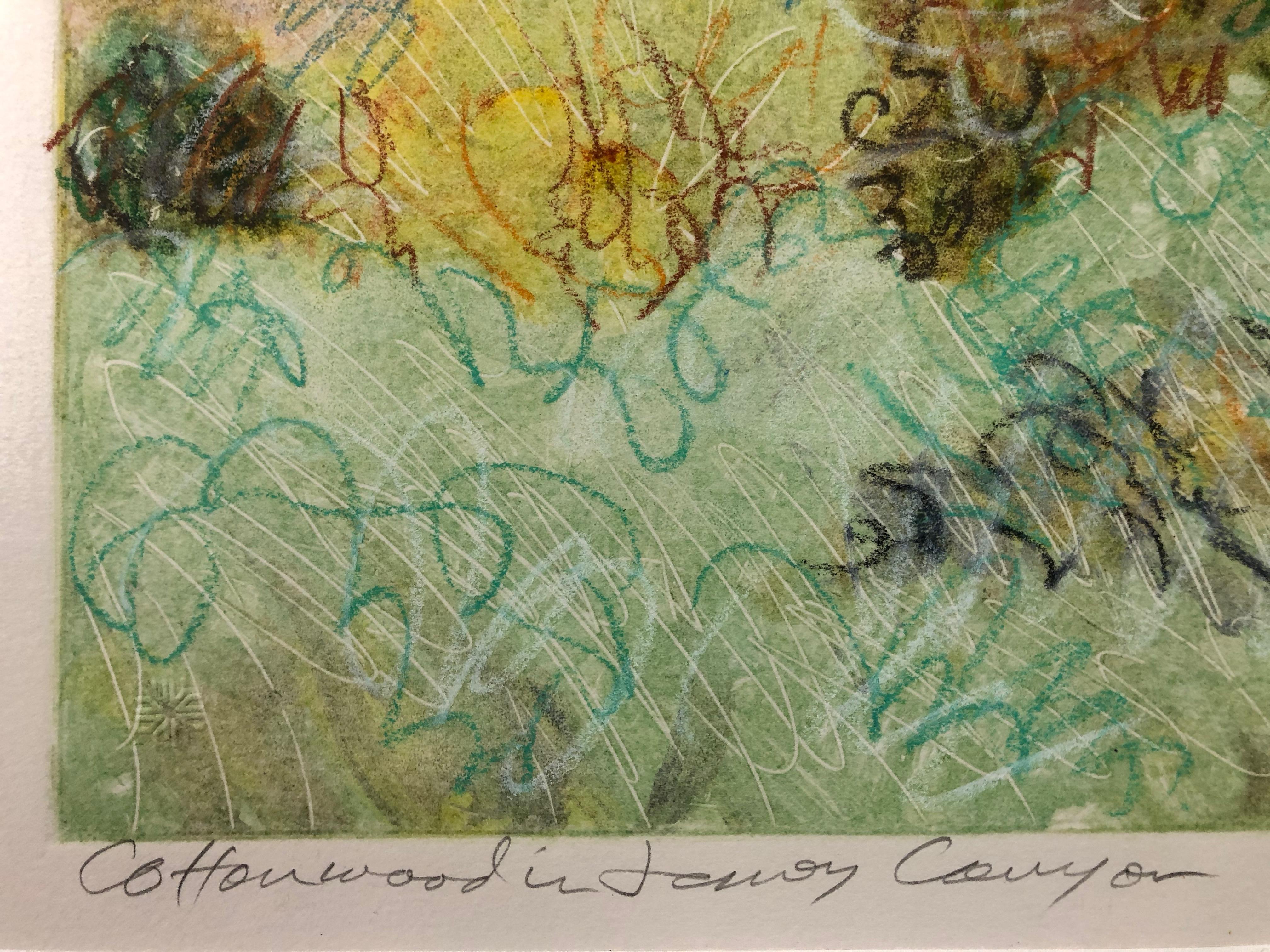 Bois de coton dans le Canyon de Jemez, par John Hogan, technique mixte, monotype, Nouveau-Mexique en vente 4