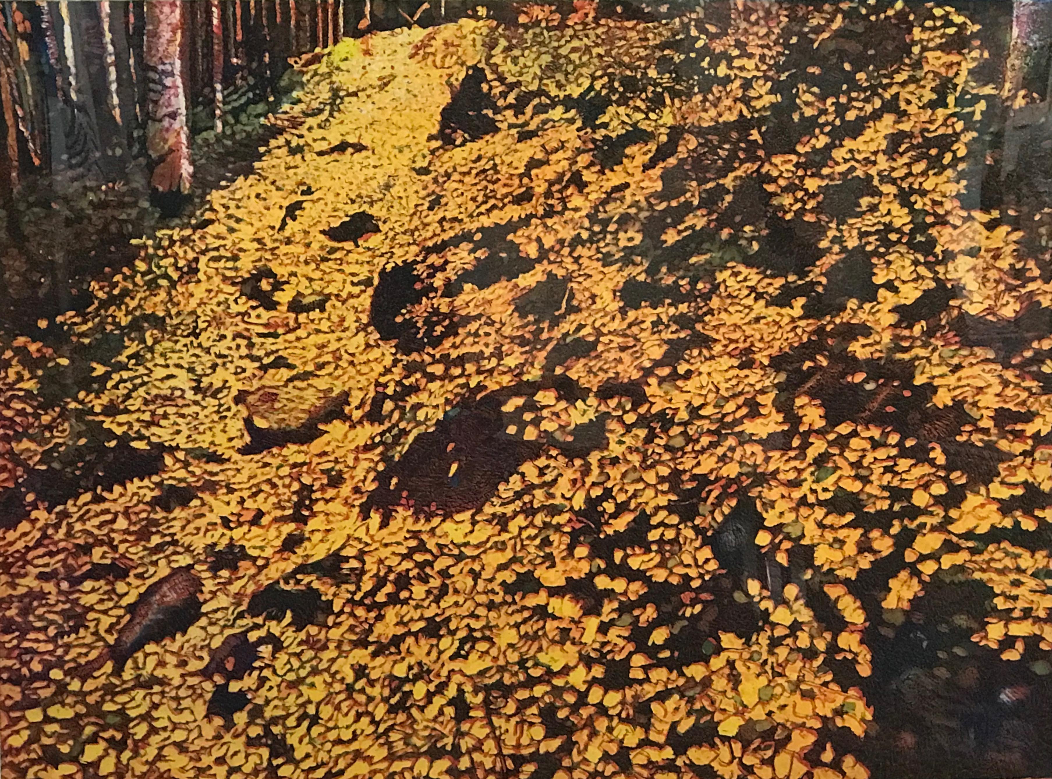 Aspen Trail- Fall, color etching, John Hogan, yellows, gold, landscape forest