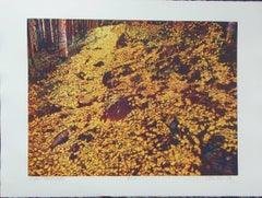 Aspen Trail- Fall, color etching, John Hogan, yellows, gold, landscape forest
