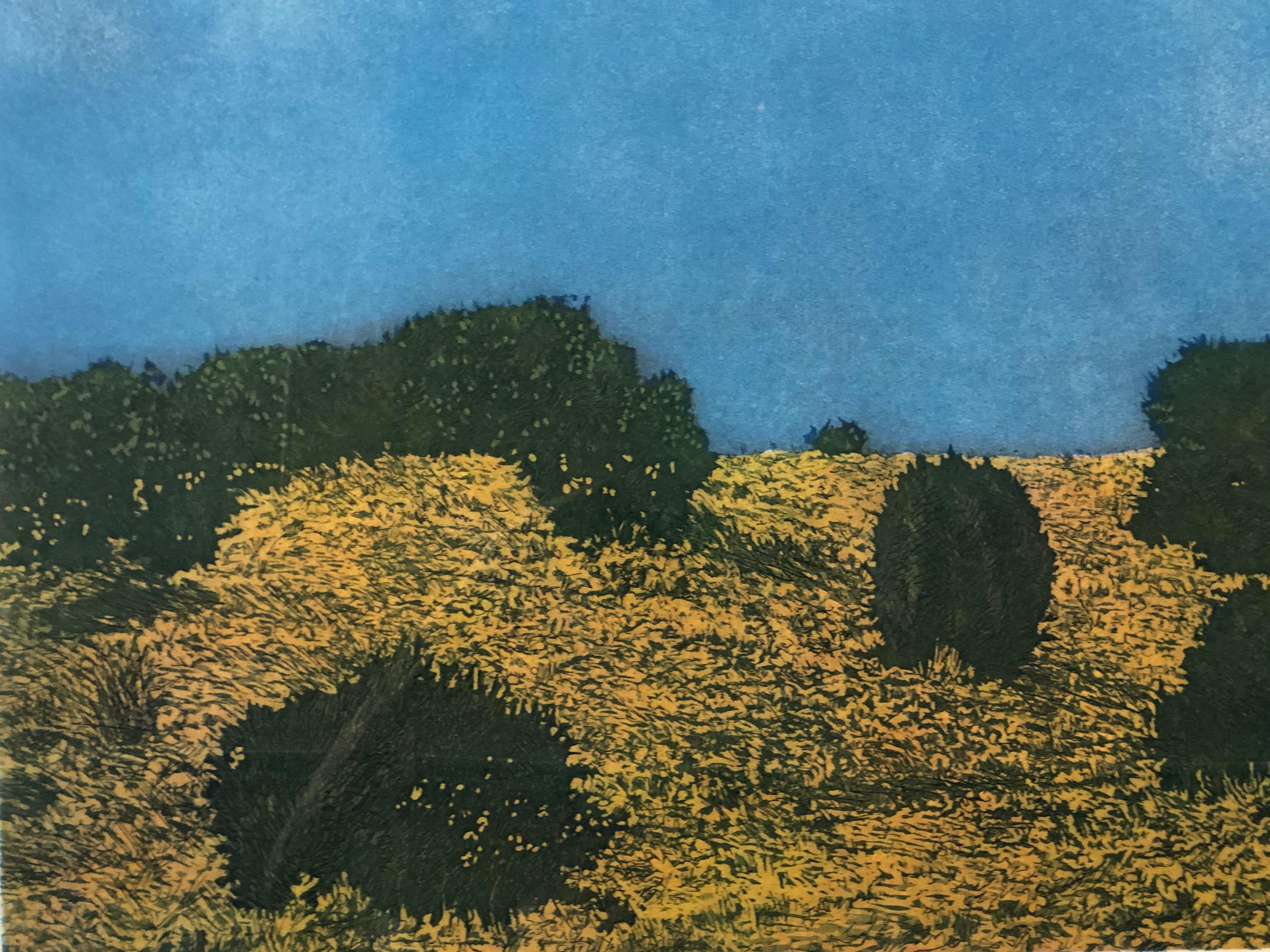 Cloudy Day Prairie II, by John Hogan, New Mexico Landscape, Color Etching, blues For Sale 3