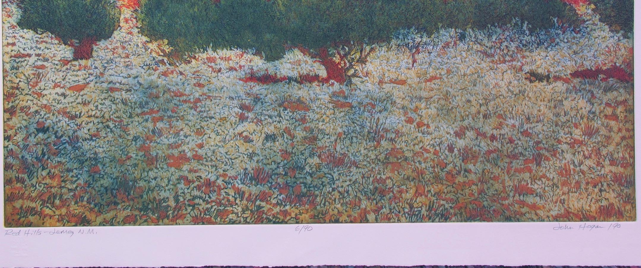 Red Hills, Jemez, NM - Print by John Hogan