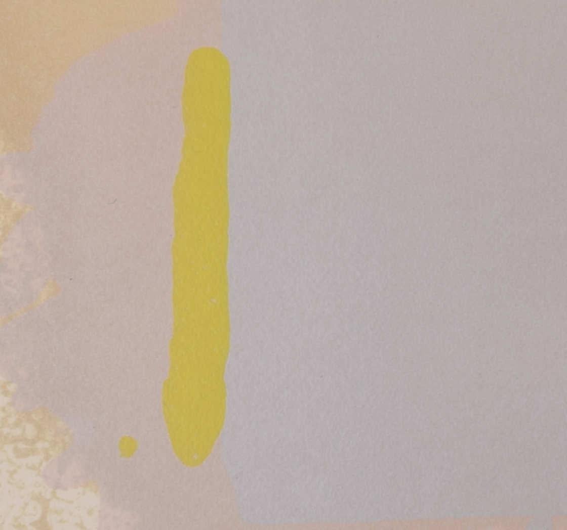 Brown, Beige, Pink - 1971, serigrafia di John Hoyland in vendita 2
