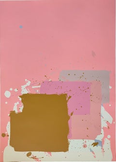 Blocco marrone su rosa - dalla Suite di New York