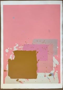 Brown Block on Pink - from the New York Suite
