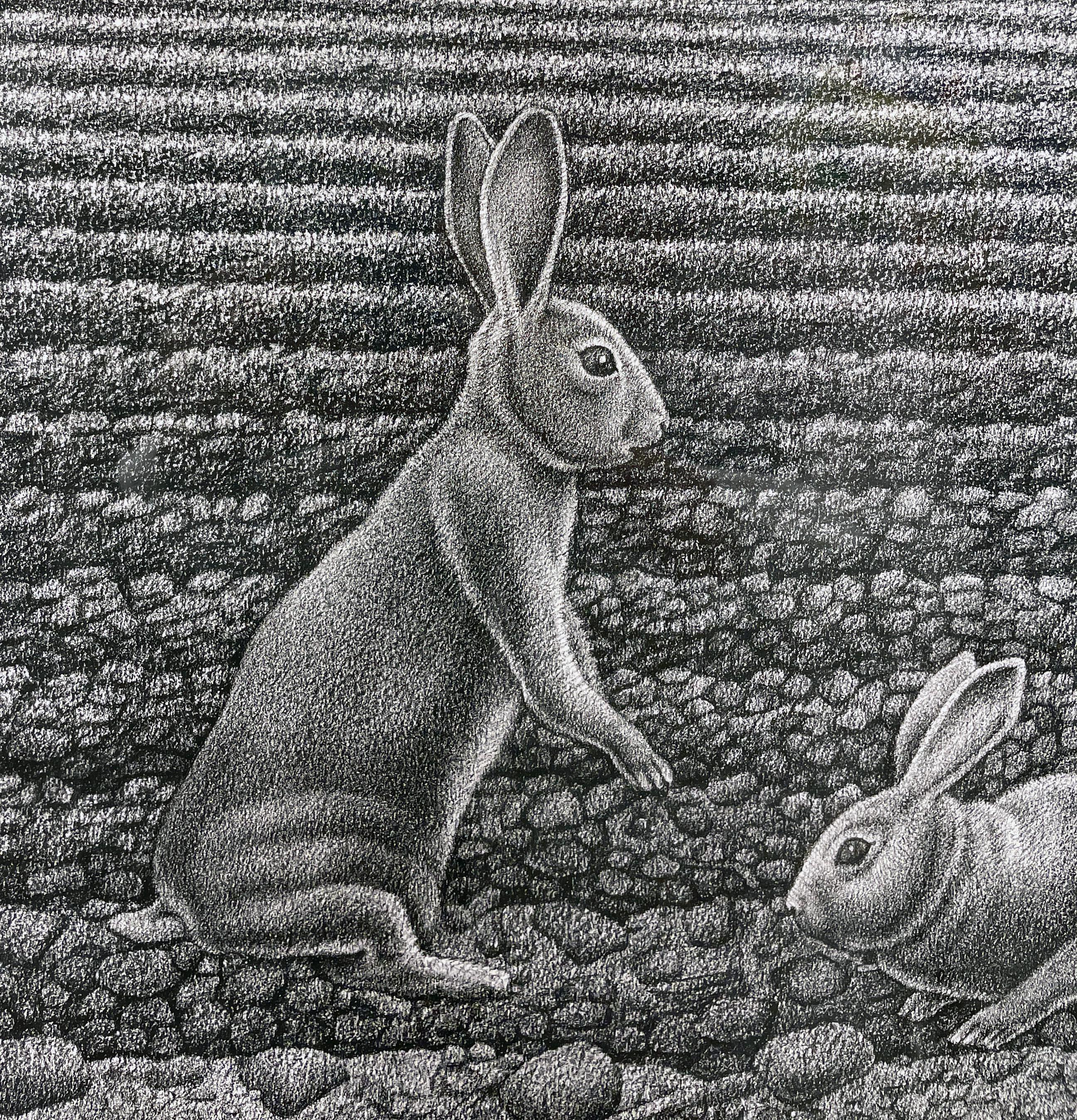 Glean - Landscape, Sown Field w/ Two Rabbits, Graphite, Archival Paper - Surrealist Painting by John Hrehov
