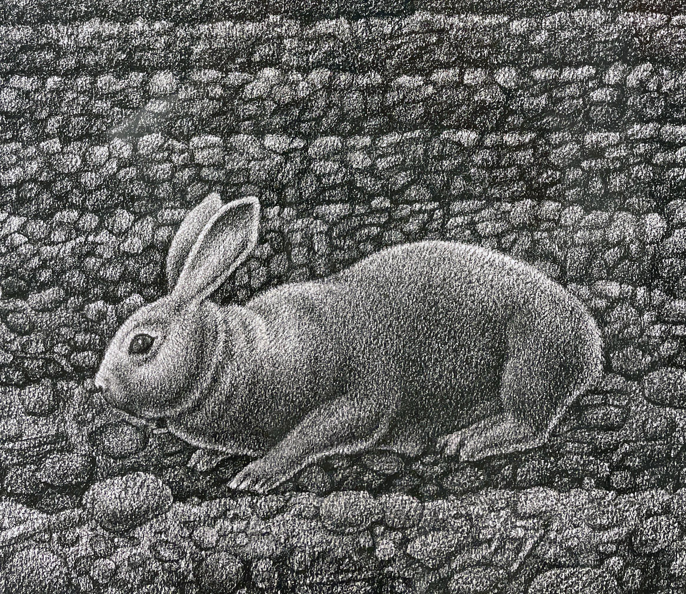 Glean - Landscape, Sown Field w/ Two Rabbits, Graphite, Archival Paper - Gray Landscape Painting by John Hrehov