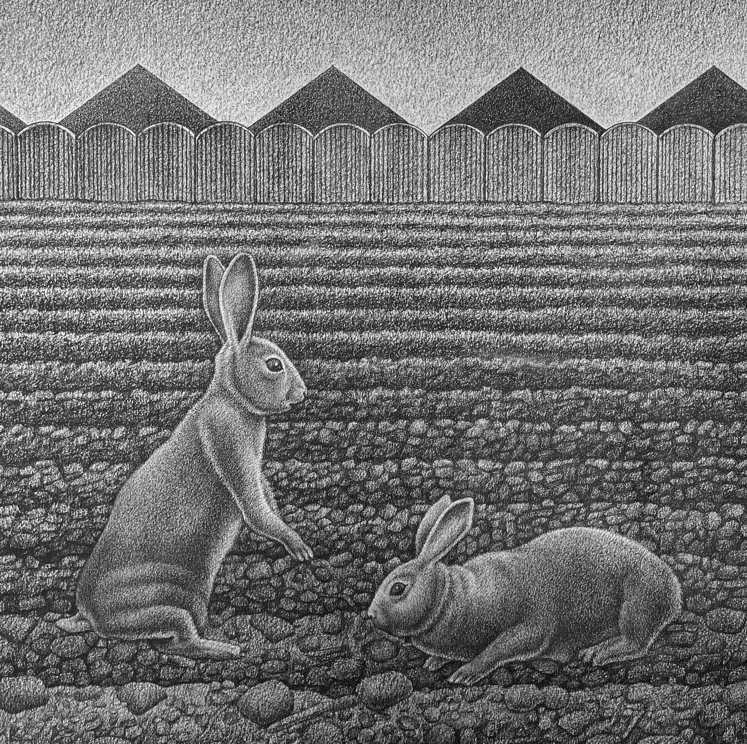 Glean - Landscape, Sown Field w/ Two Rabbits, Graphite, Archival Paper For Sale 1