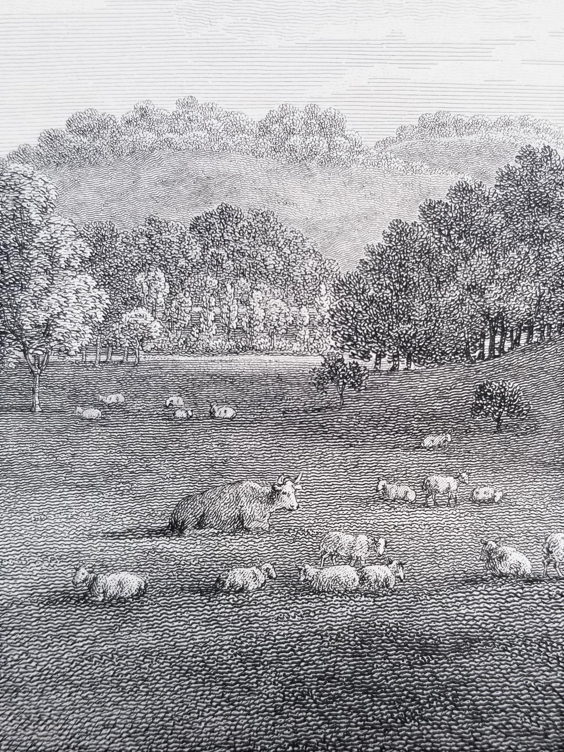 Came, la sede dell'On. Lionel Damer /// Dorsetshire John Hutchins Inglese in vendita 11