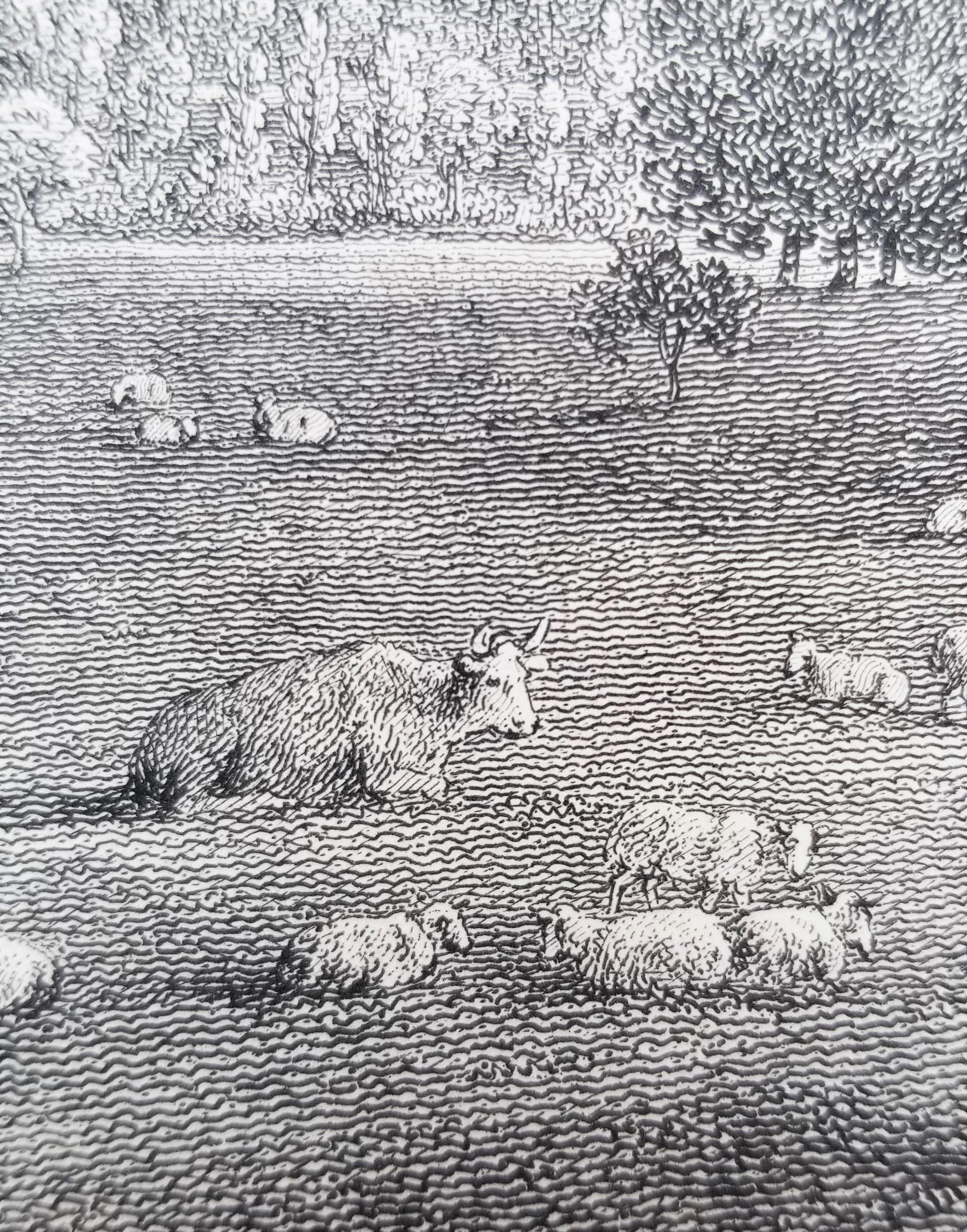 Came, la sede dell'On. Lionel Damer /// Dorsetshire John Hutchins Inglese in vendita 12