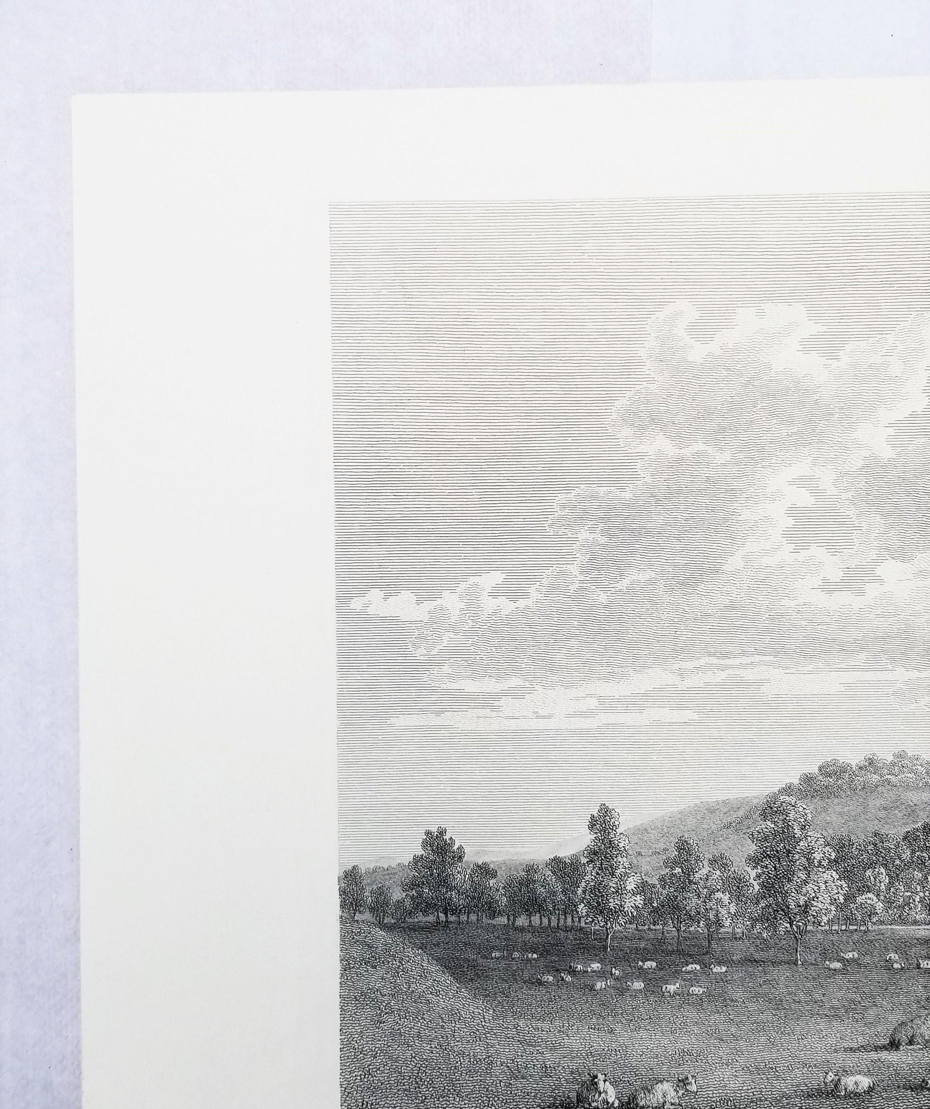Came, la sede dell'On. Lionel Damer /// Dorsetshire John Hutchins Inglese in vendita 4