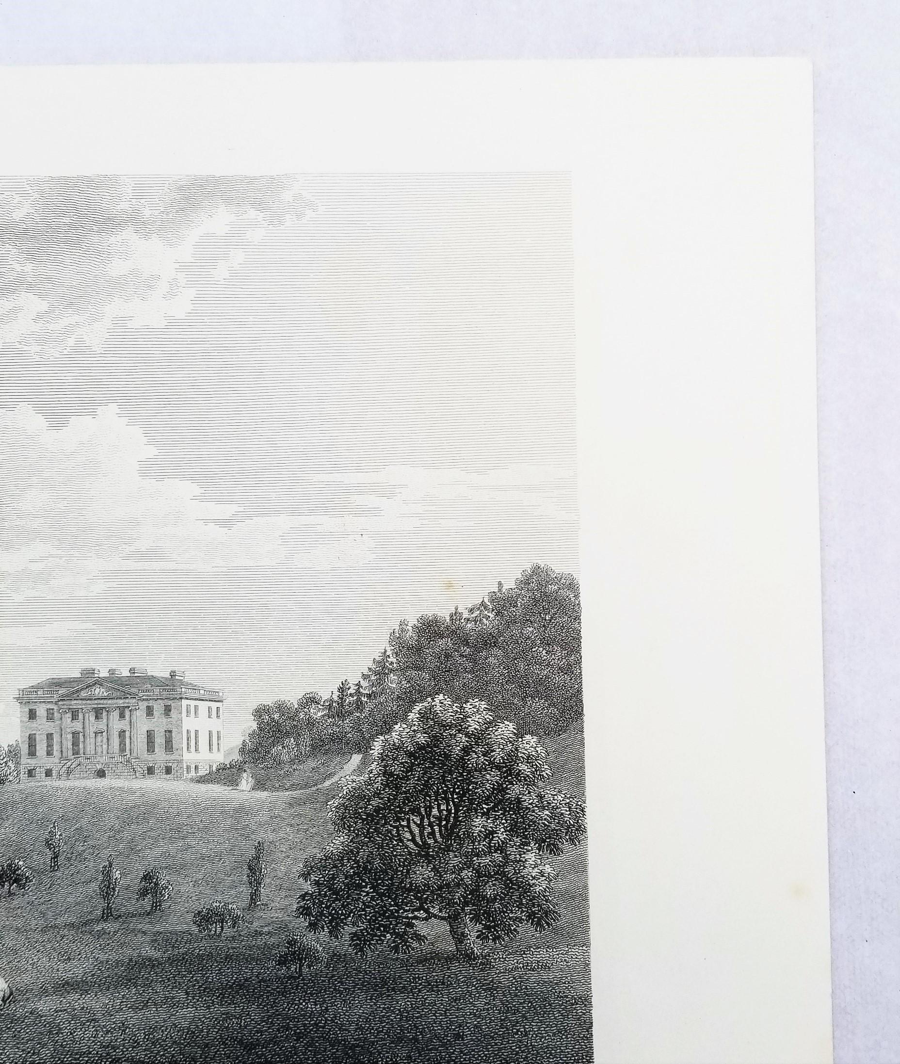 Came, la sede dell'On. Lionel Damer /// Dorsetshire John Hutchins Inglese in vendita 5