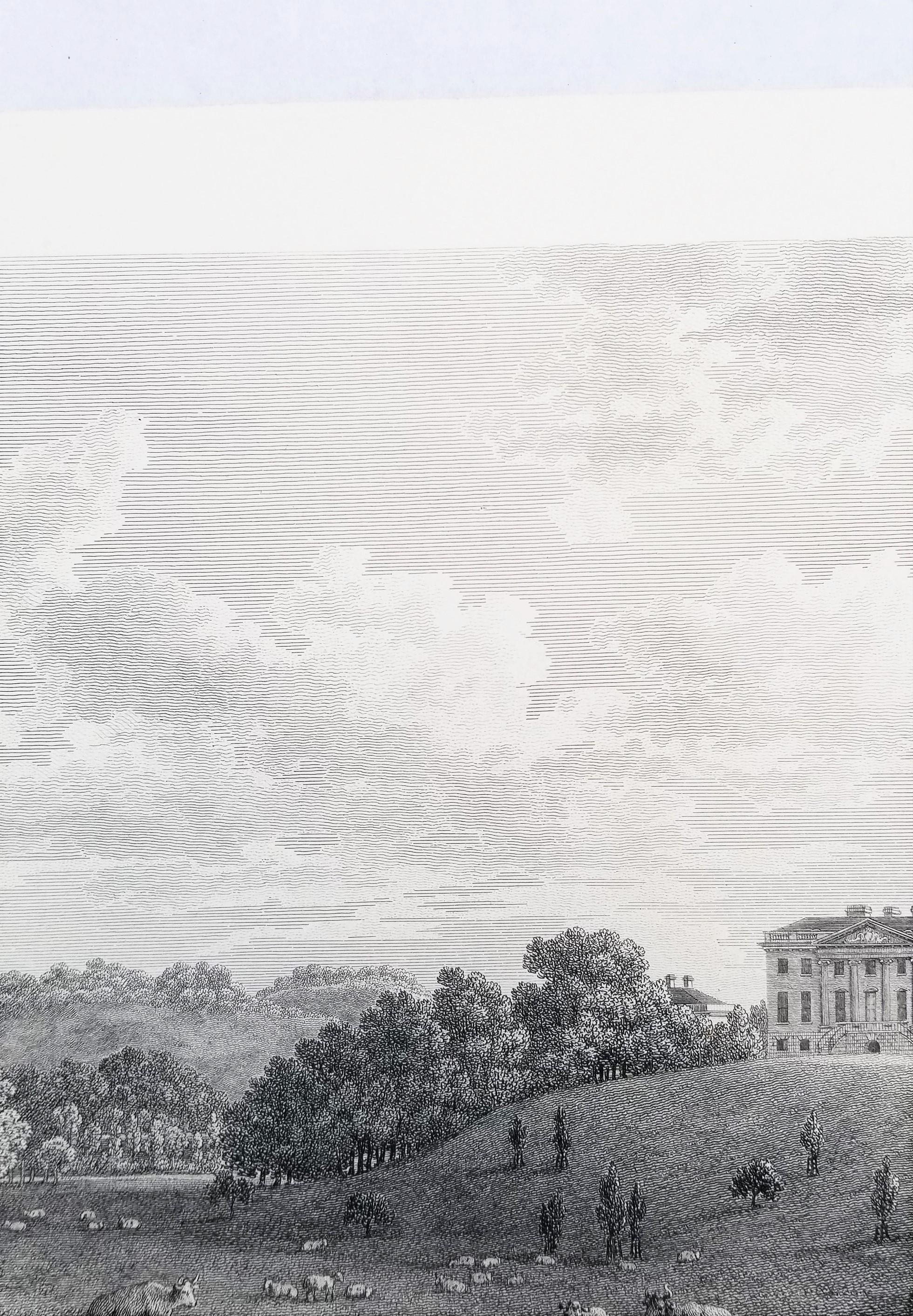 Came, la sede dell'On. Lionel Damer /// Dorsetshire John Hutchins Inglese in vendita 7