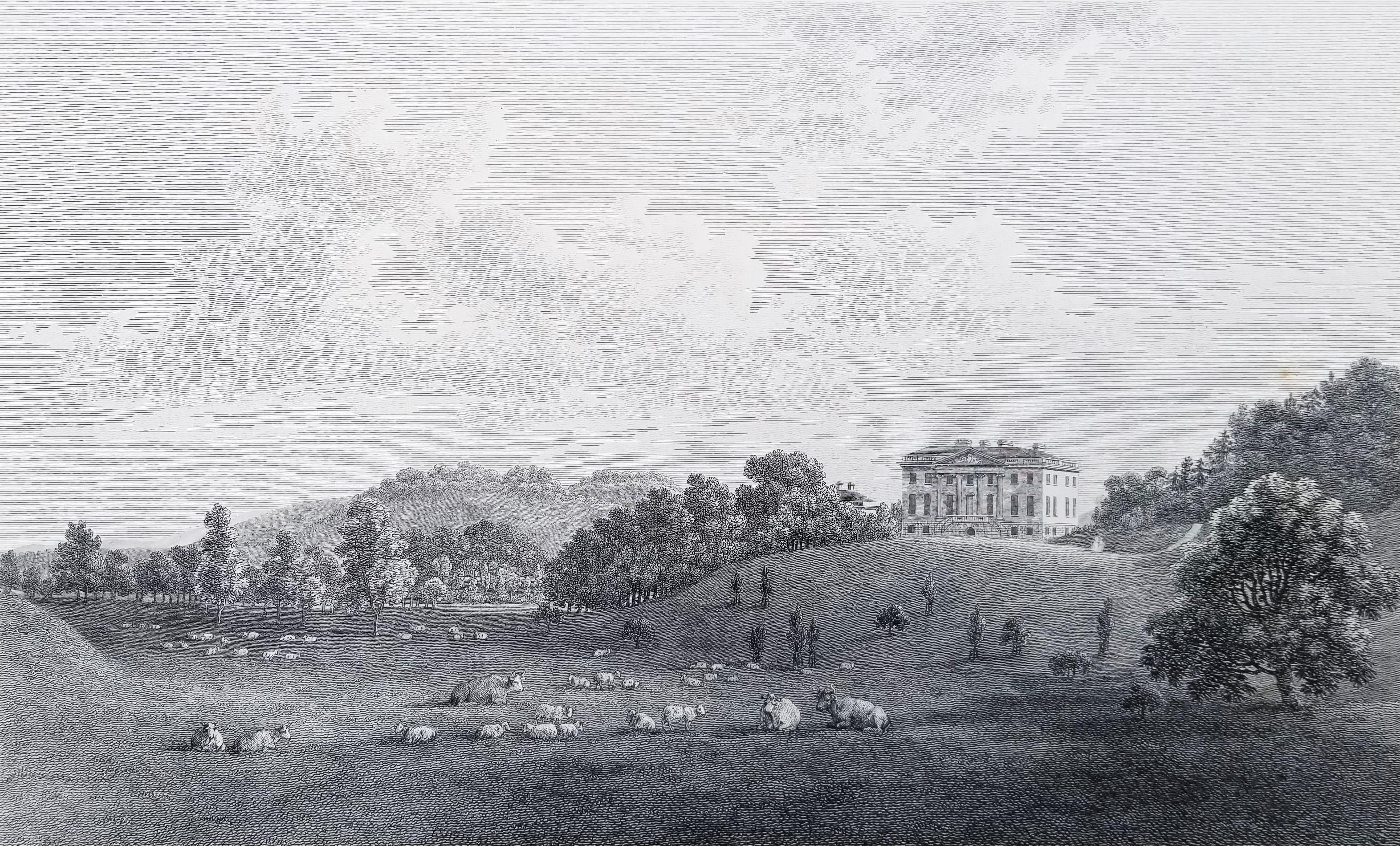 Artista: John Hutchins (inglese, 1698-1773)
Titolo: "Came, la sede dell'On. Lionel Damer" (Piastra 48)
Portfolio: Storia e antichità della contea di Dorset
Anno: 1796-1815 (Seconda edizione)
Mezzo: Incisione originale su carta intelata
Edizione