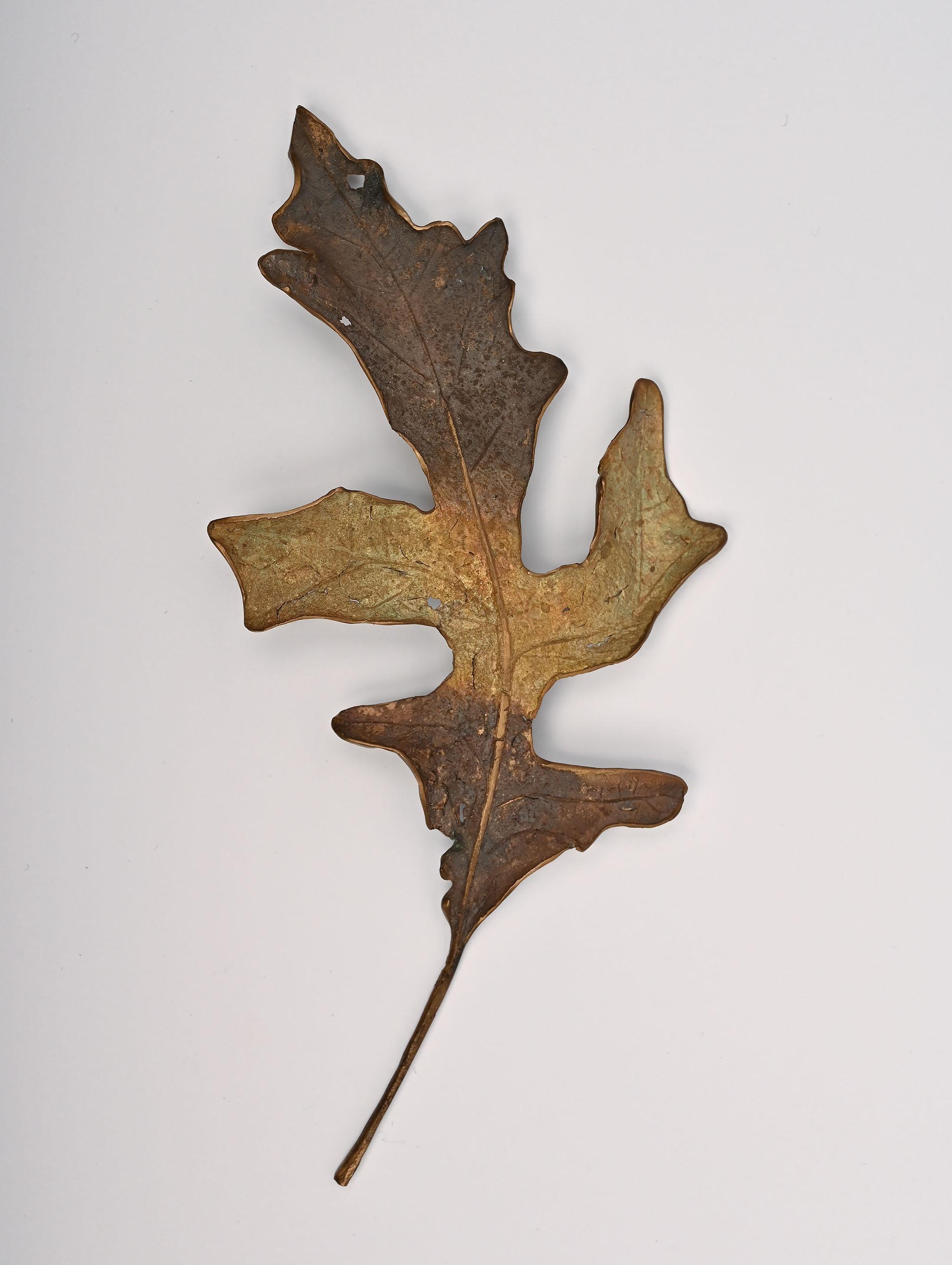 John Iversden is well known for his handmade jewelry inspired by forms in nature. In the 1990's and early 2000's, he did a serious of leaf brooches, usually made of patinated bronze. Several were purchased by First Lady Laura Bush for gifts to
