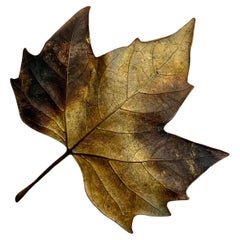 John Iversen Patinated Bronze Maple Leaf Brooch