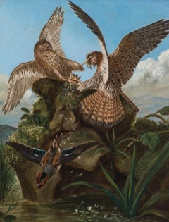 Hawks Fighting, 19th Century