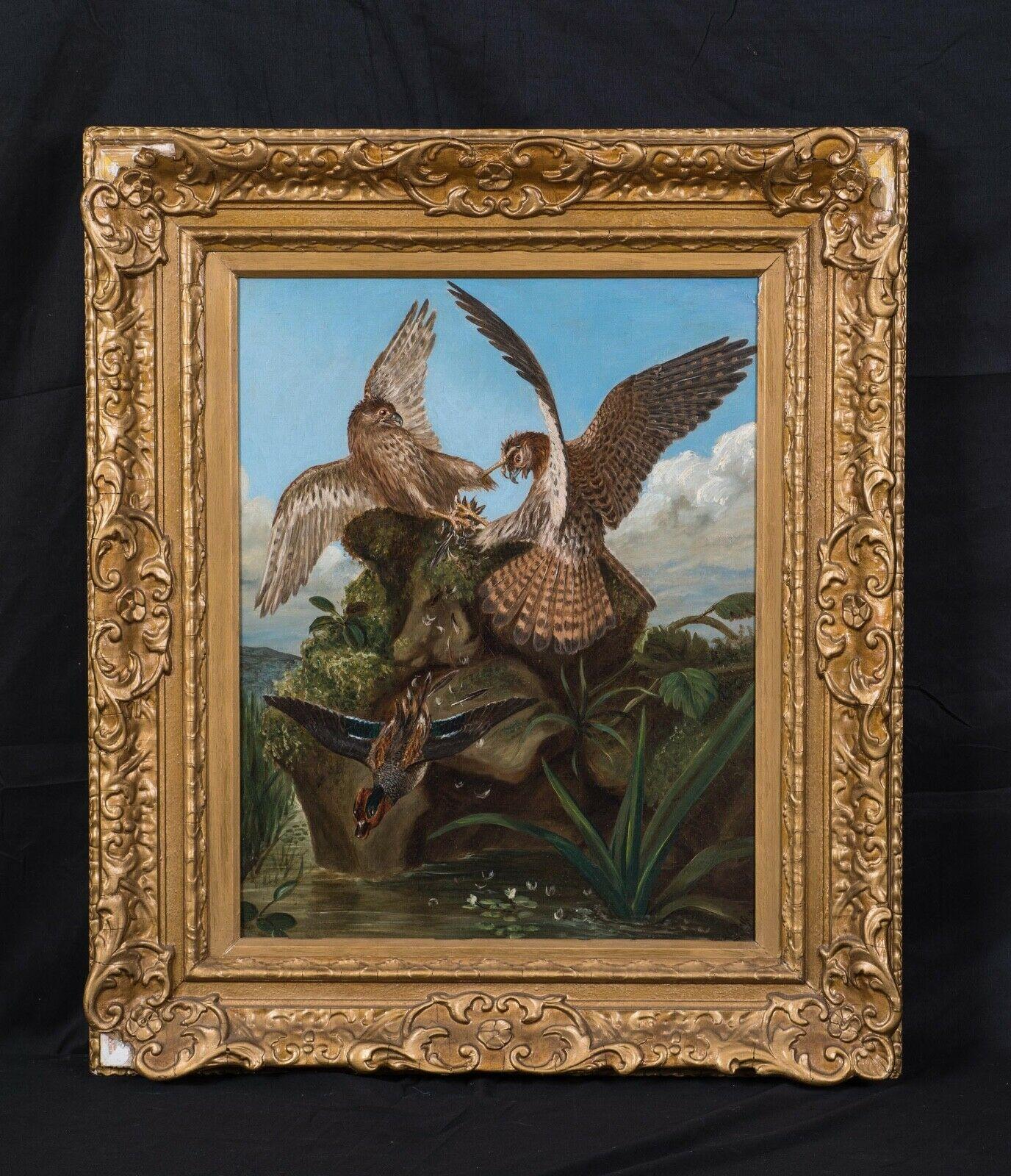Hawks Fighting, 19th Century   - Brown Animal Painting by Unknown
