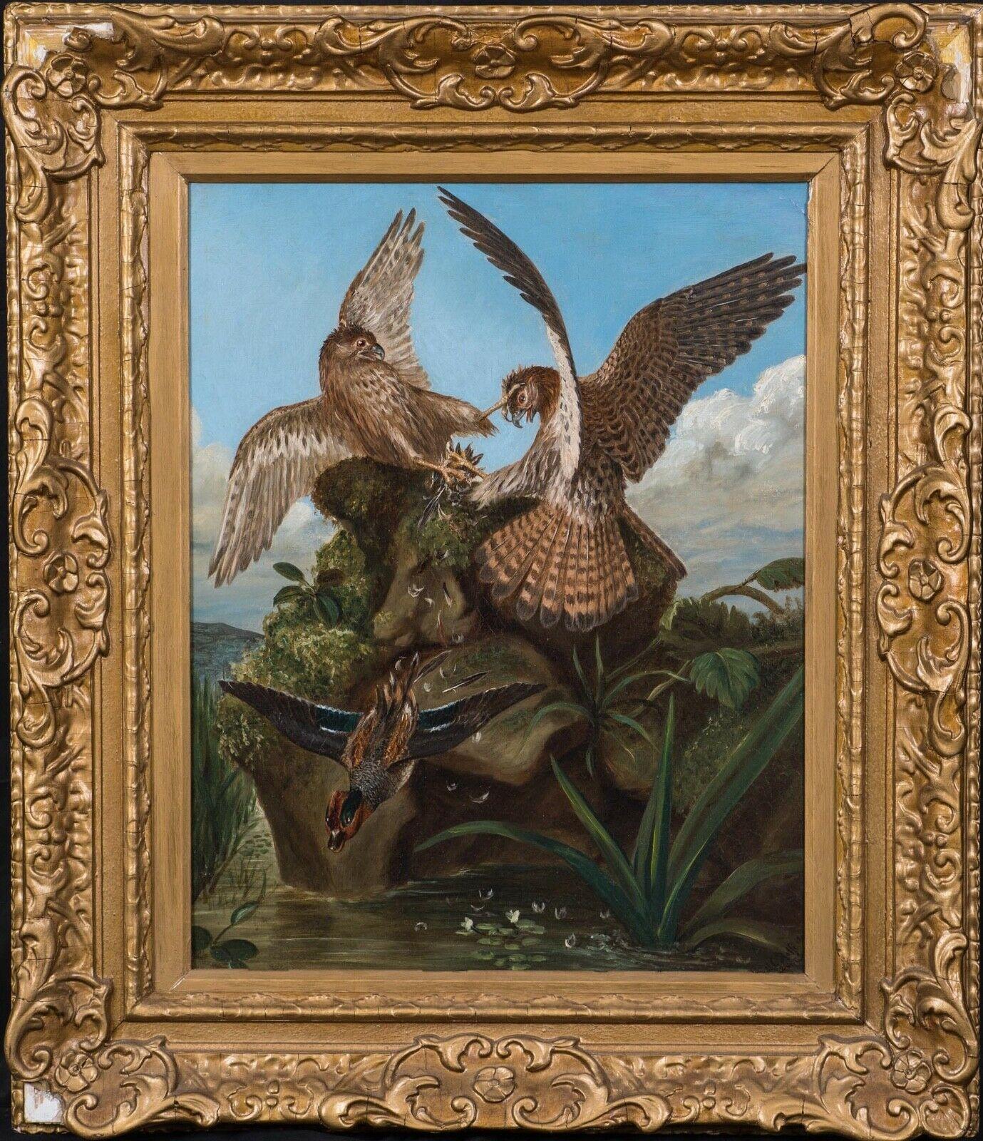 Unknown Animal Painting - Hawks Fighting, 19th Century  