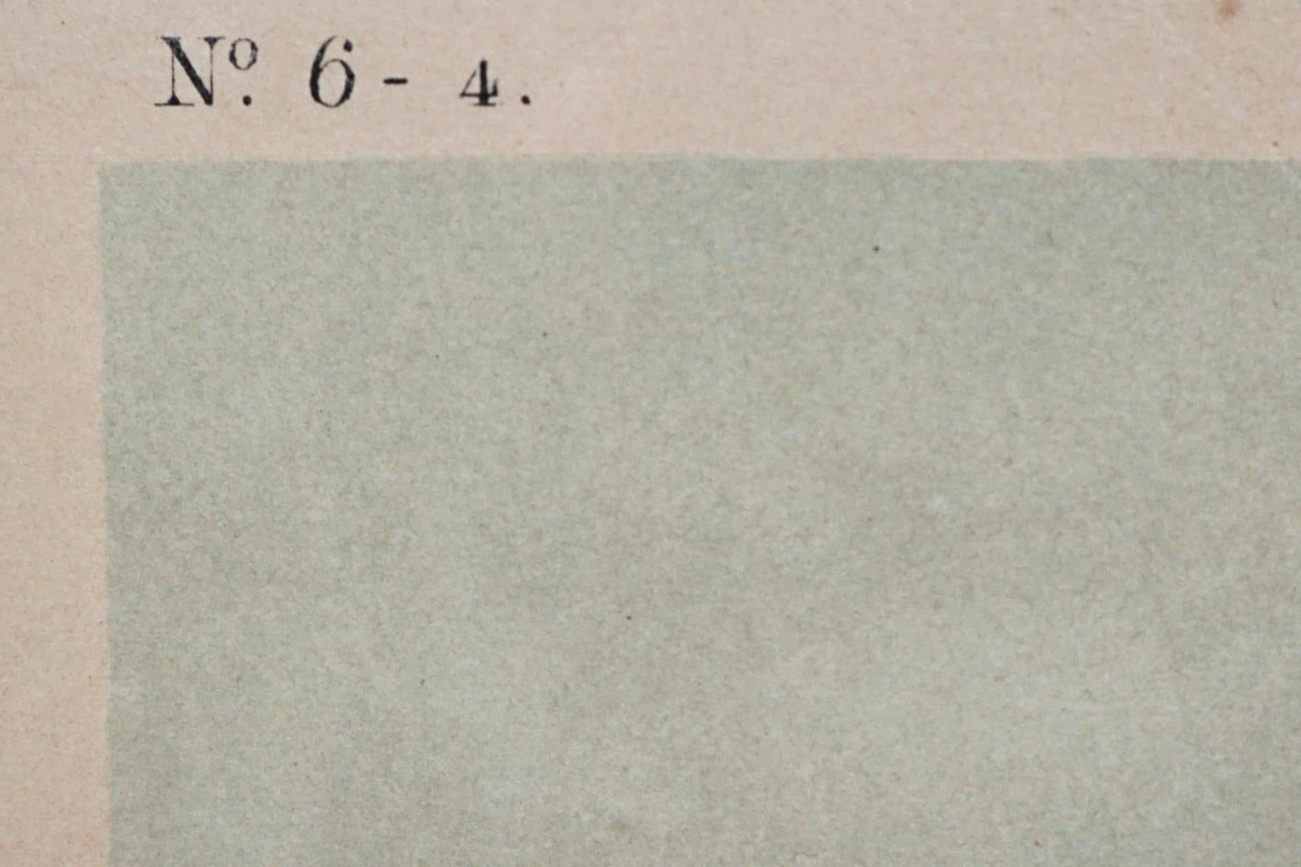 John James Audubon Chromolithograph Crested Grebe-Teller 389 von J.Bien N.Y. 1860 im Angebot 6