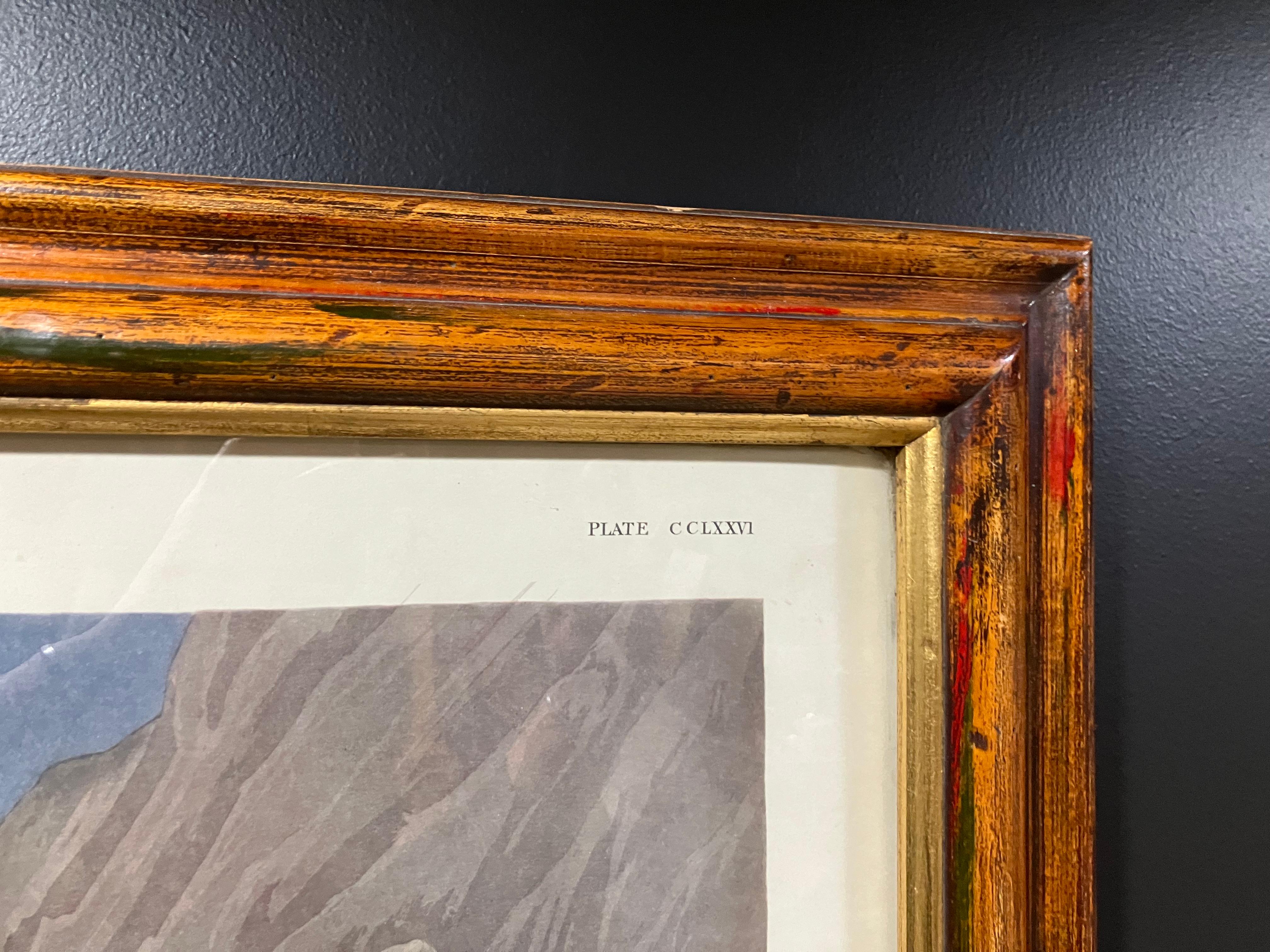 19th Century John James Audubon King Duck – Plate CCLXXVI – Second Edition Lithograph For Sale
