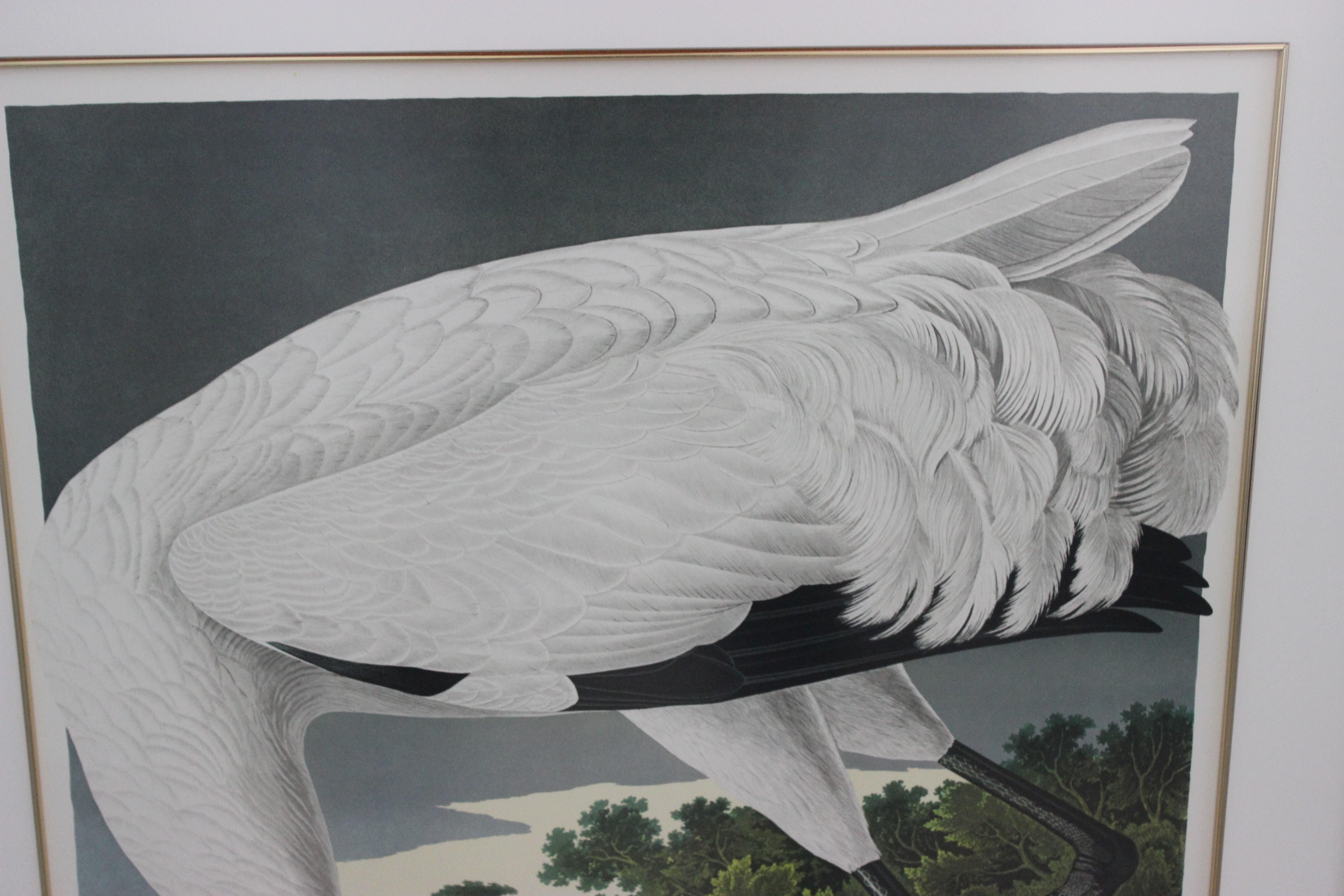 Paper After John James Audubon Print of Whooping Crane by M Bernard Loates For Sale