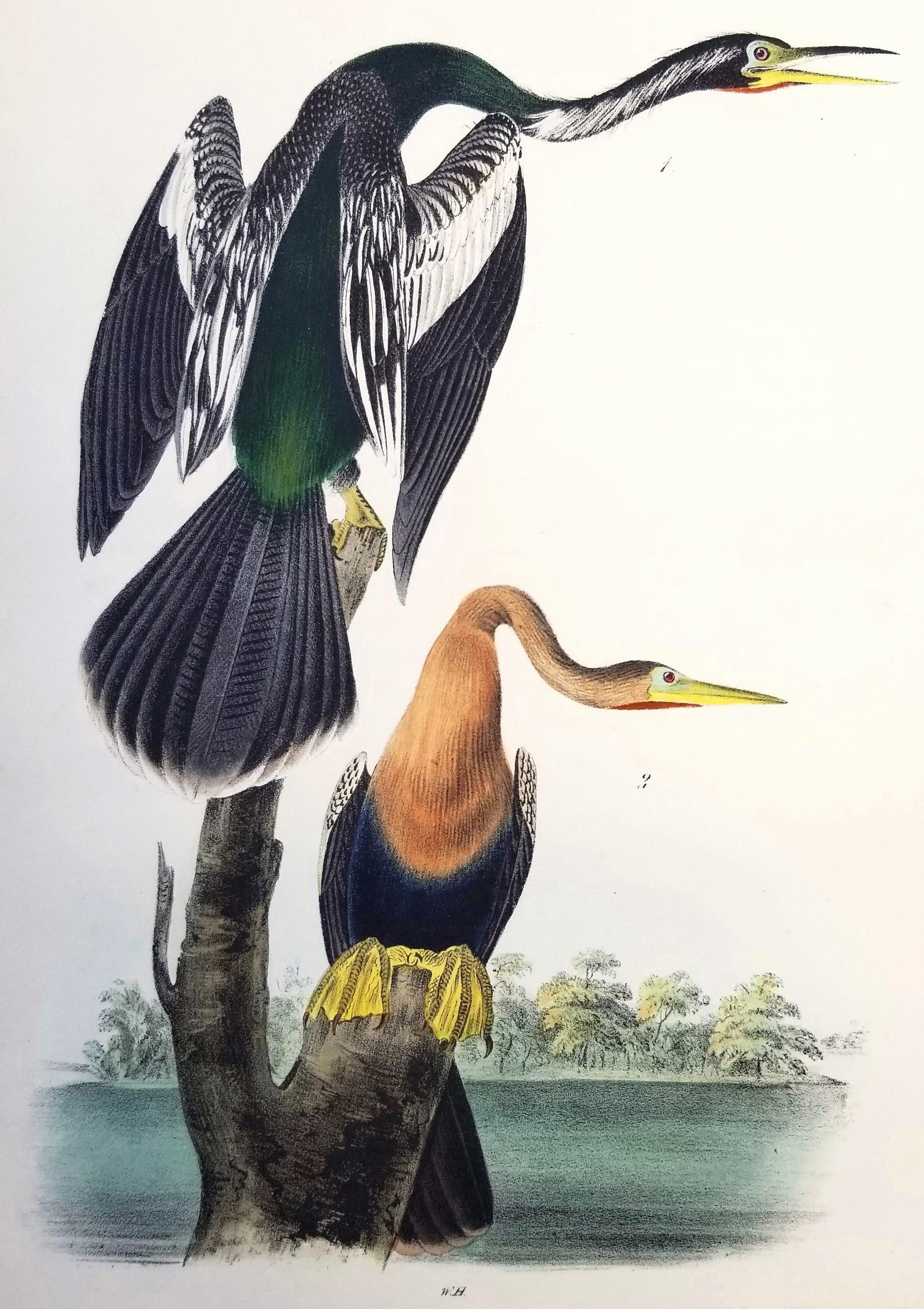 What was John James Audubon’s art style?