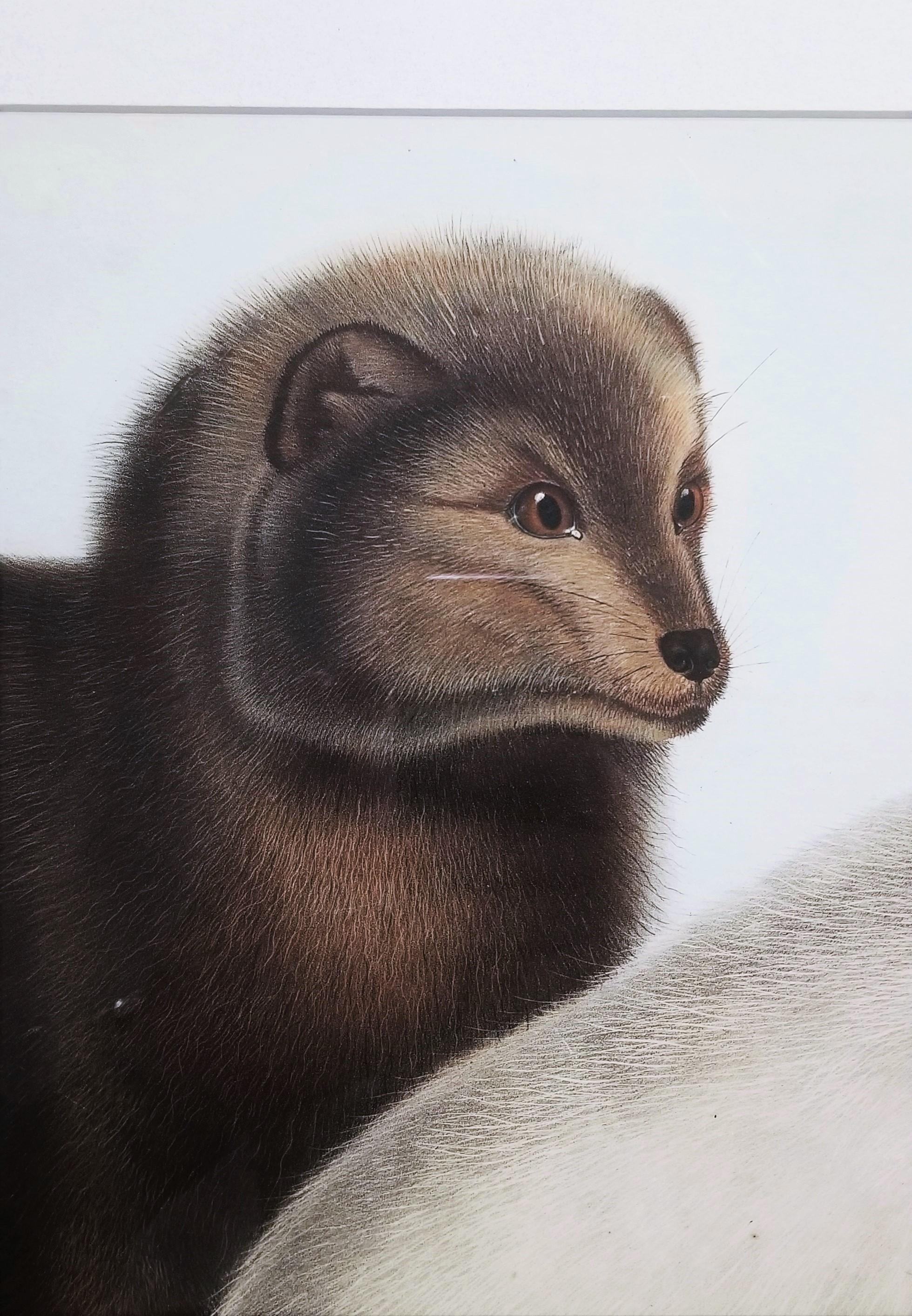 Arctic Fox /// Natural History Animal John James Audubon Watercolor Lithograph  For Sale 11