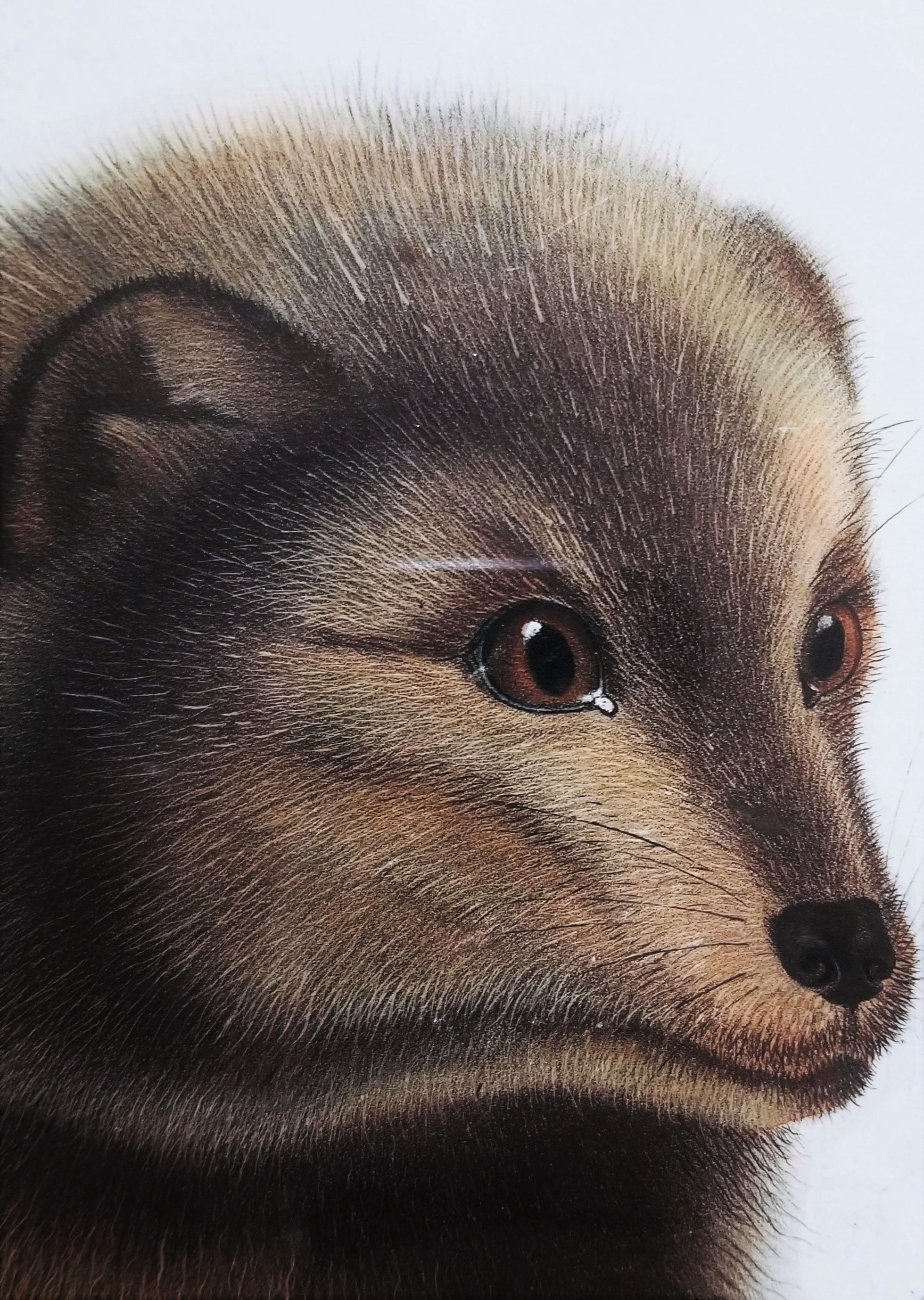 Arctic Fox /// Natural History Animal John James Audubon Watercolor Lithograph  For Sale 12