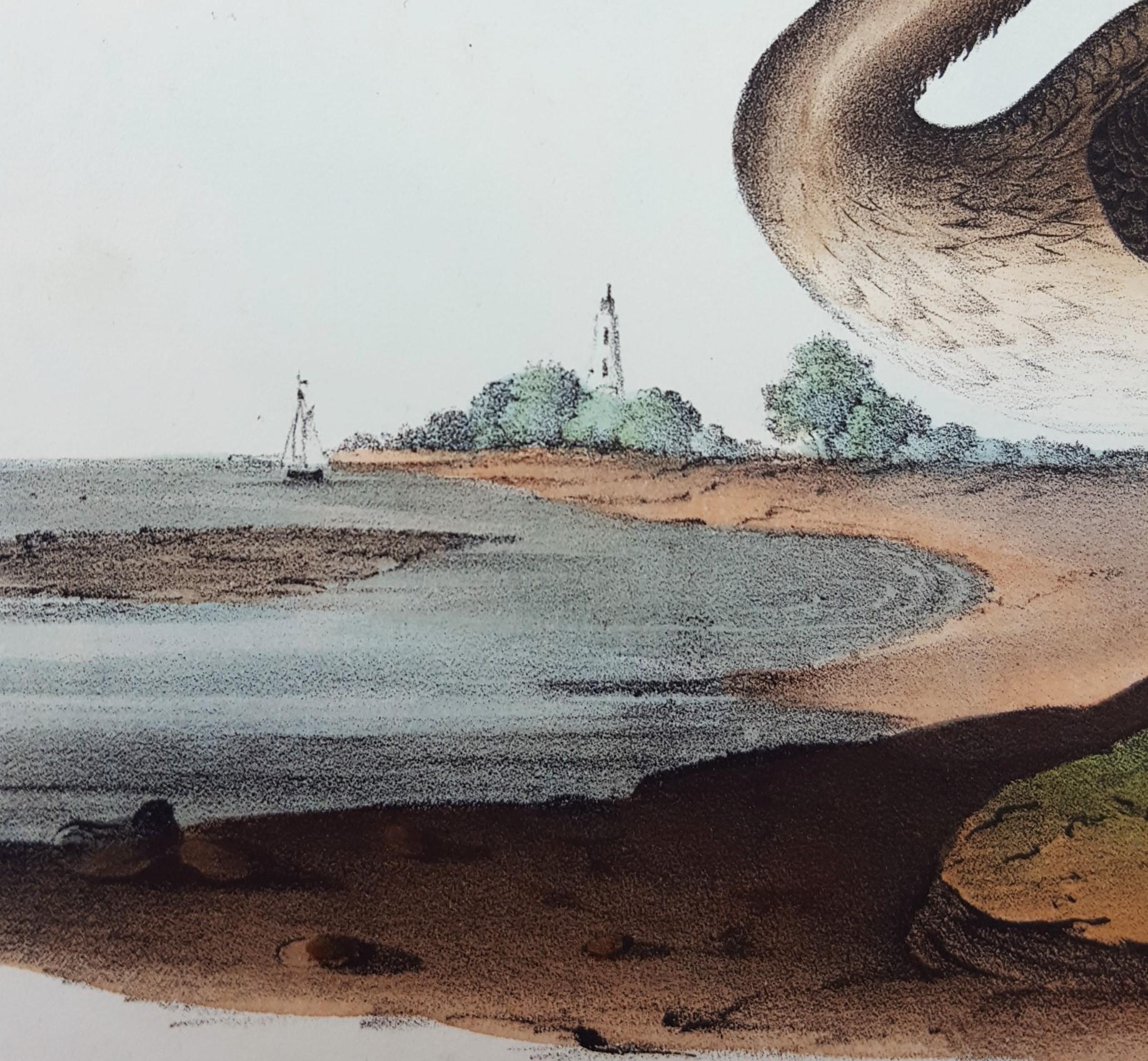 Pélican brun /// Histoire naturelle Ornithologie Art des oiseaux John James Audubon Mer en vente 11