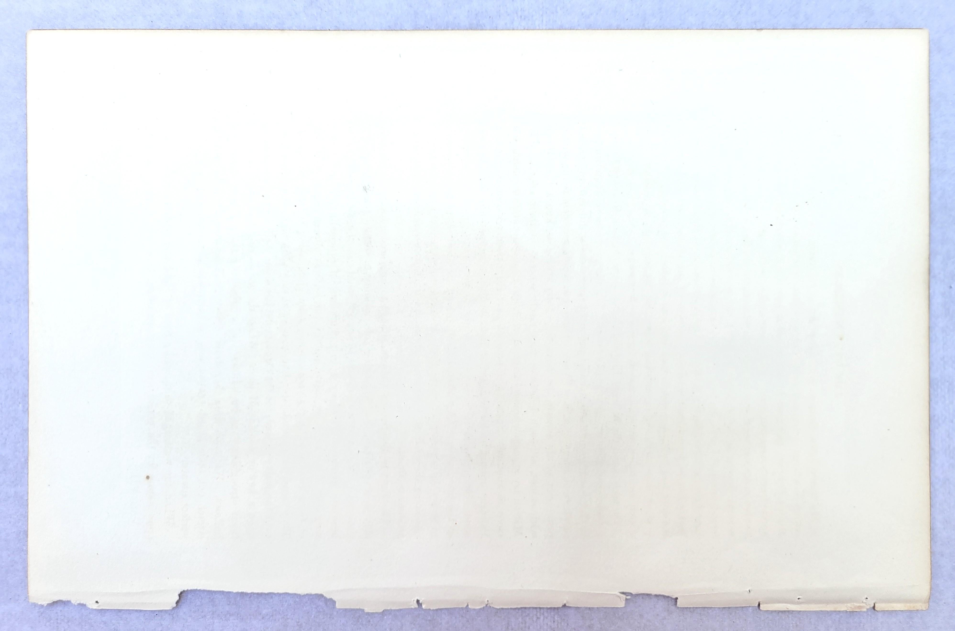 Pelícano pardo /// John James Audubon Nueva Orleans Ornitología Animal Pájaro Arte en venta 13