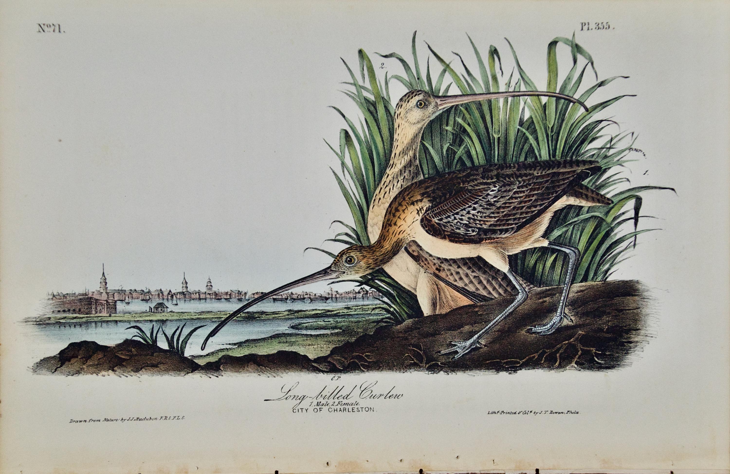 Horizontal Stampe e riproduzioni