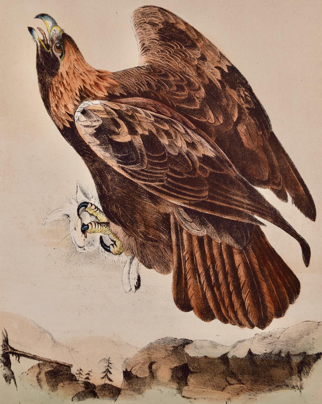 Goldener Adler: Eine handkolorierte Vogellithographie von Audubon aus dem 19. Jahrhundert – Print von John James Audubon