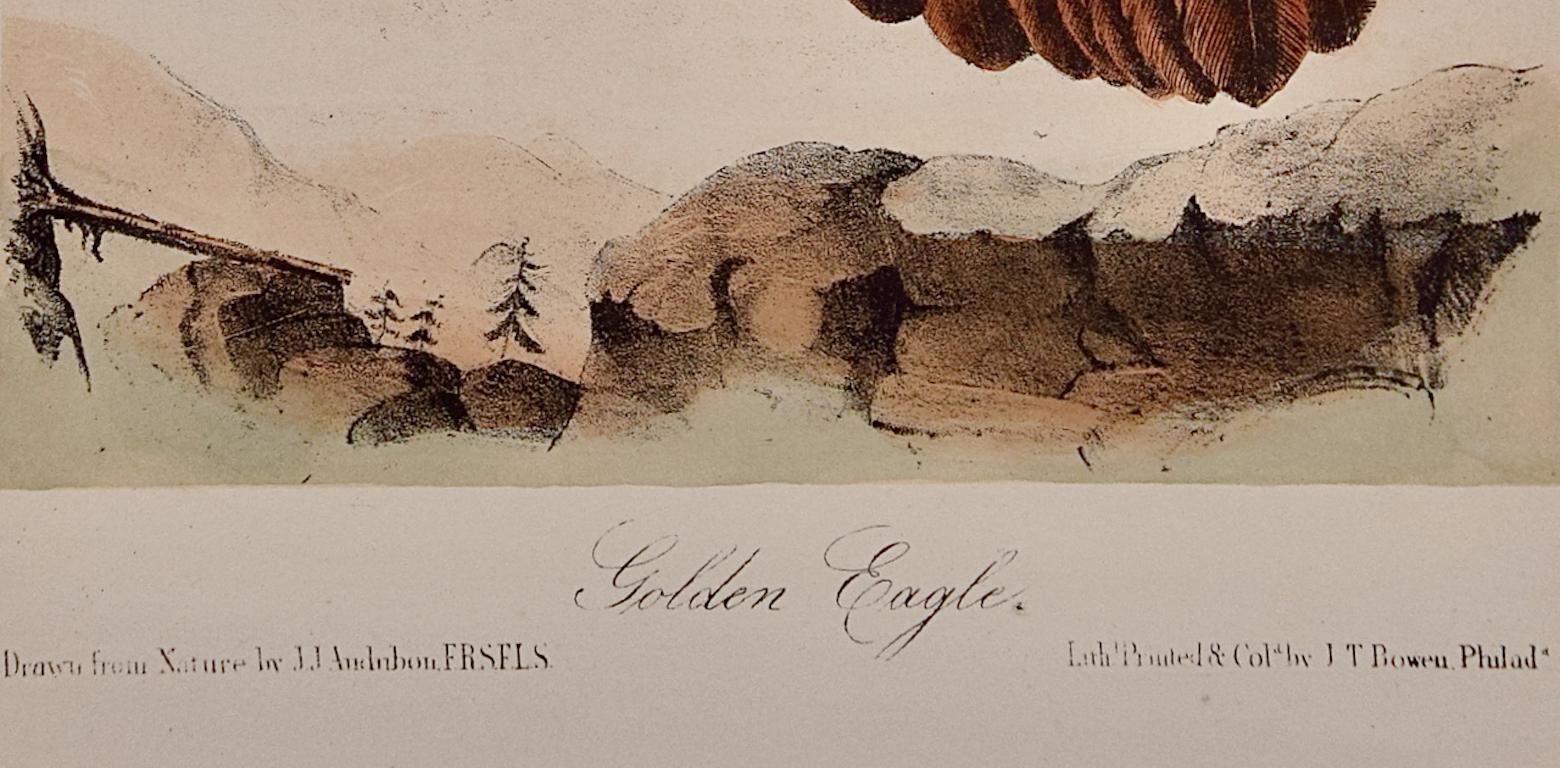 Goldener Adler: Eine handkolorierte Vogellithographie von Audubon aus dem 19. Jahrhundert (Beige), Landscape Print, von John James Audubon