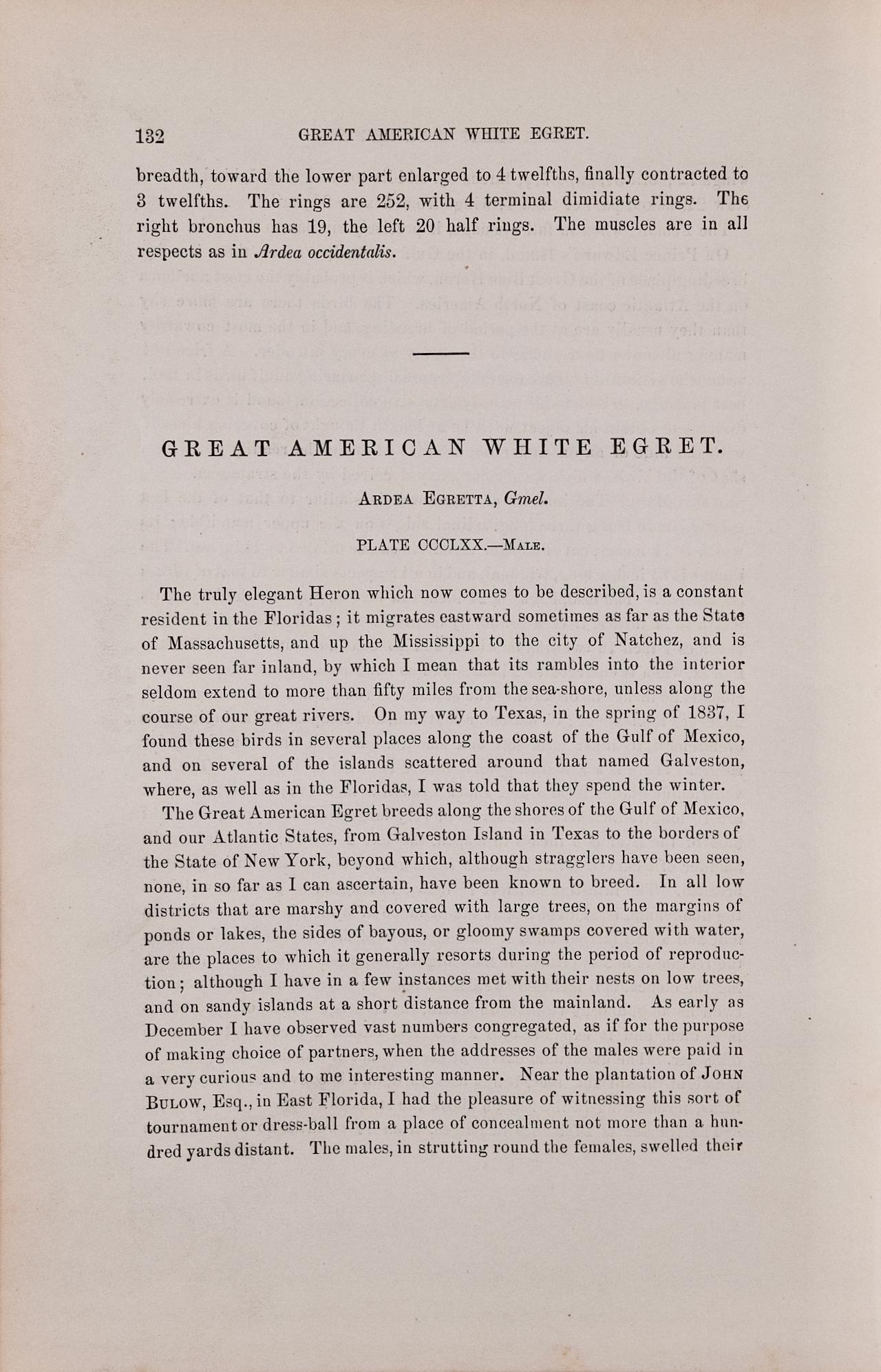 This is an original hand-colored lithograph entitled 