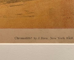 "Great White Heron" After Audubon Chromolithograph, from the 1860 Bien Edition