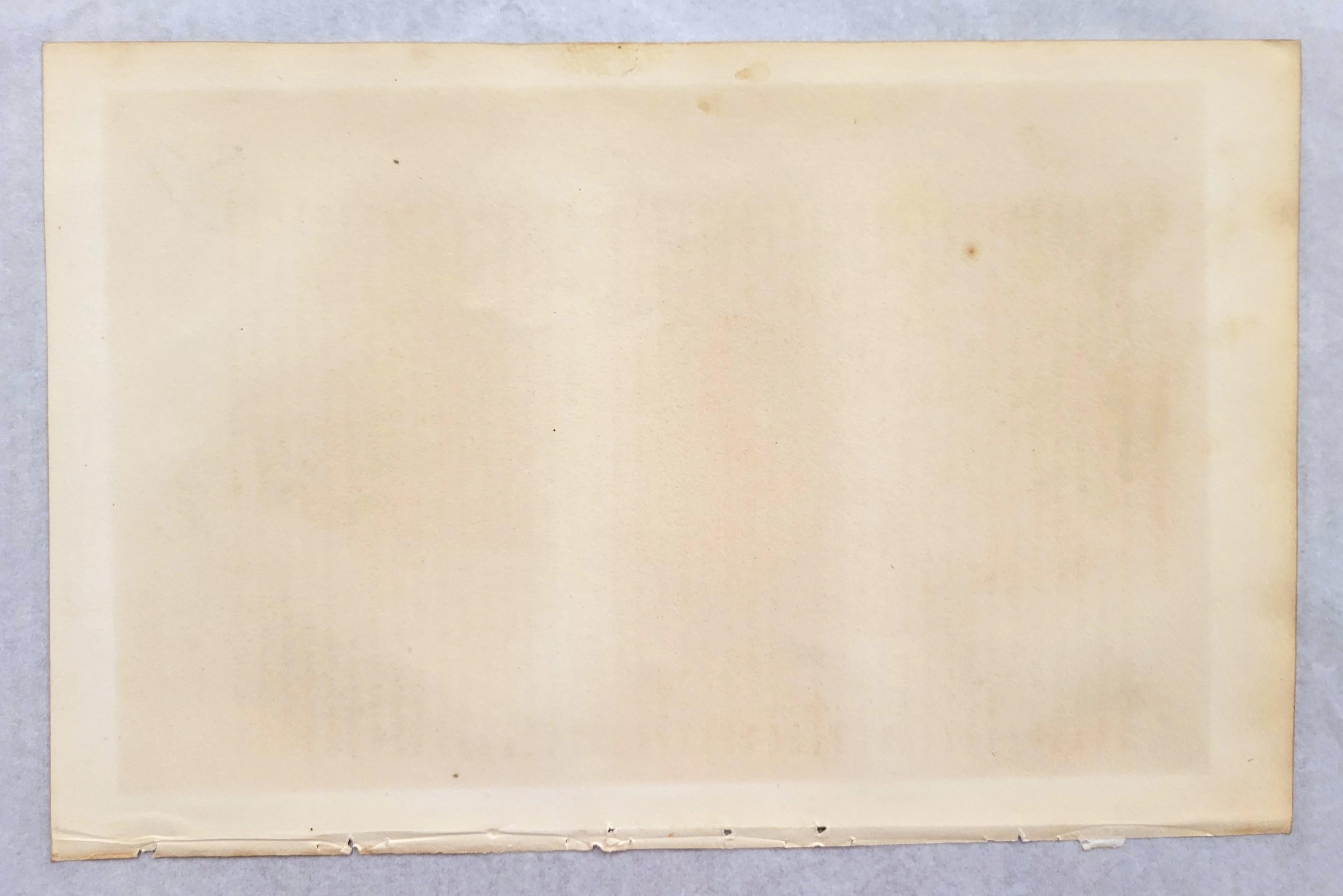 Great White Heron /// John James Audubon Ornithology Shorebird Key West Florida For Sale 13