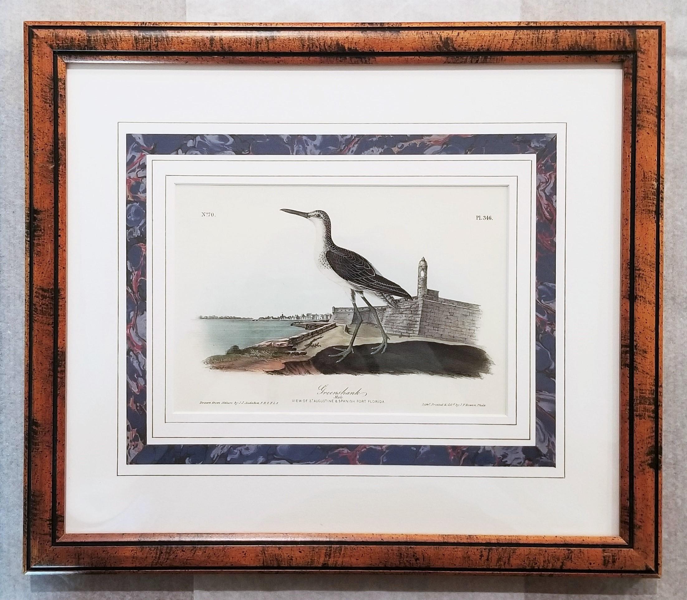 Greenshank (St. Augustine, FL) /// Bird Ornithology John James Audubon Seascape For Sale 1